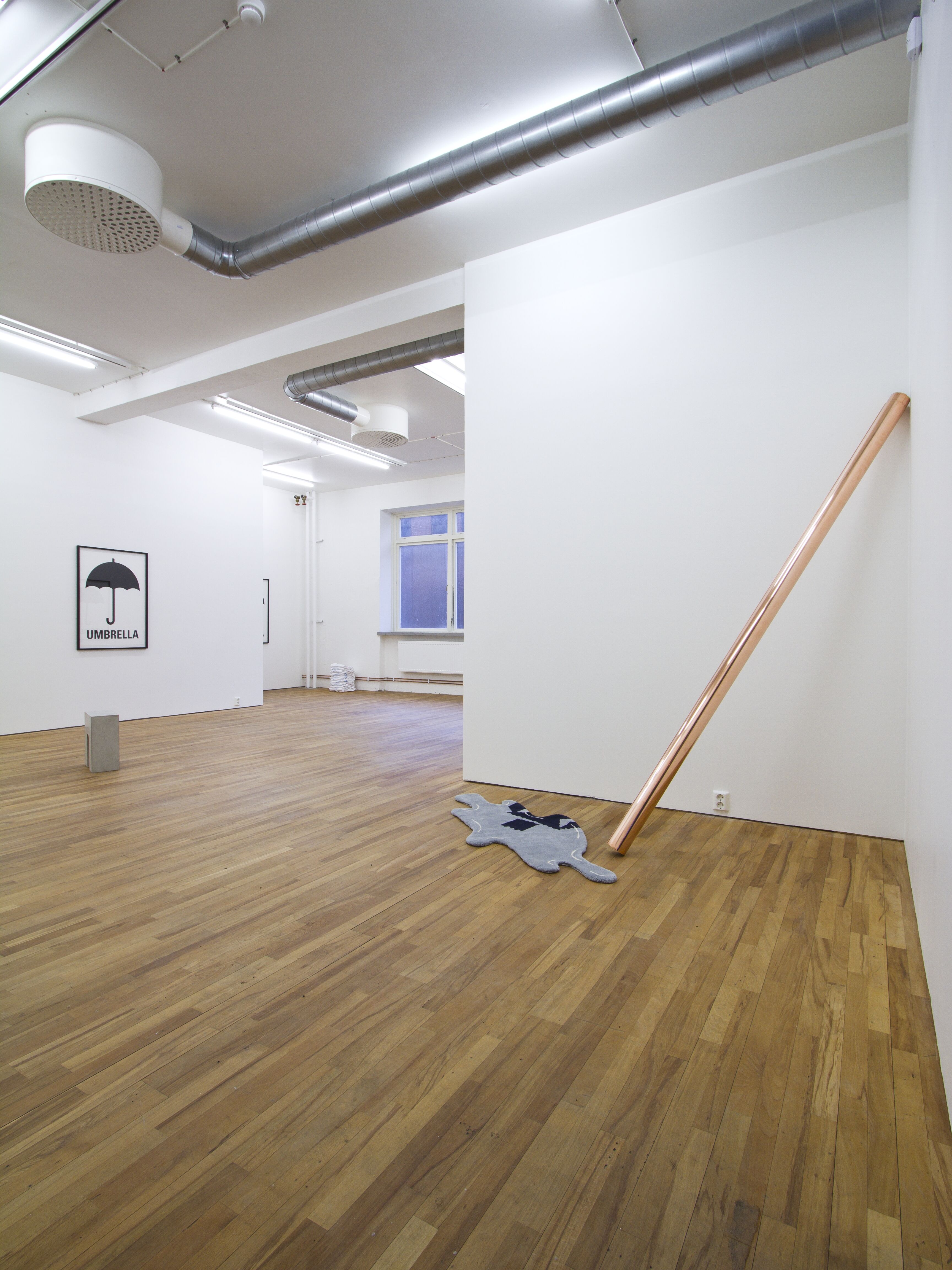 Karl Larsson, R,A,I,N (Consensus). Installationsvy.