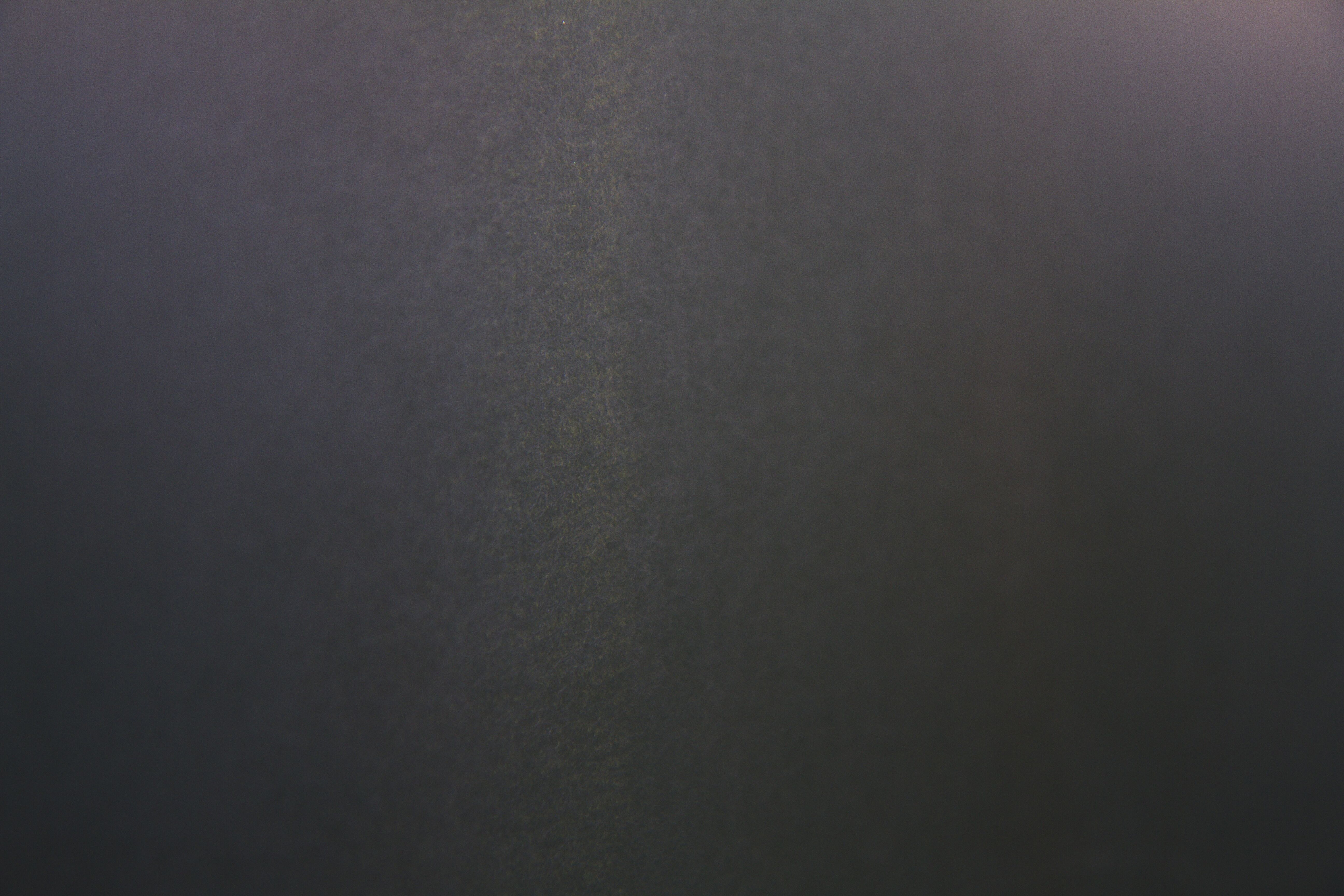 Jakob Simonson, Untitled (the Forest), 2006. Detalj.
