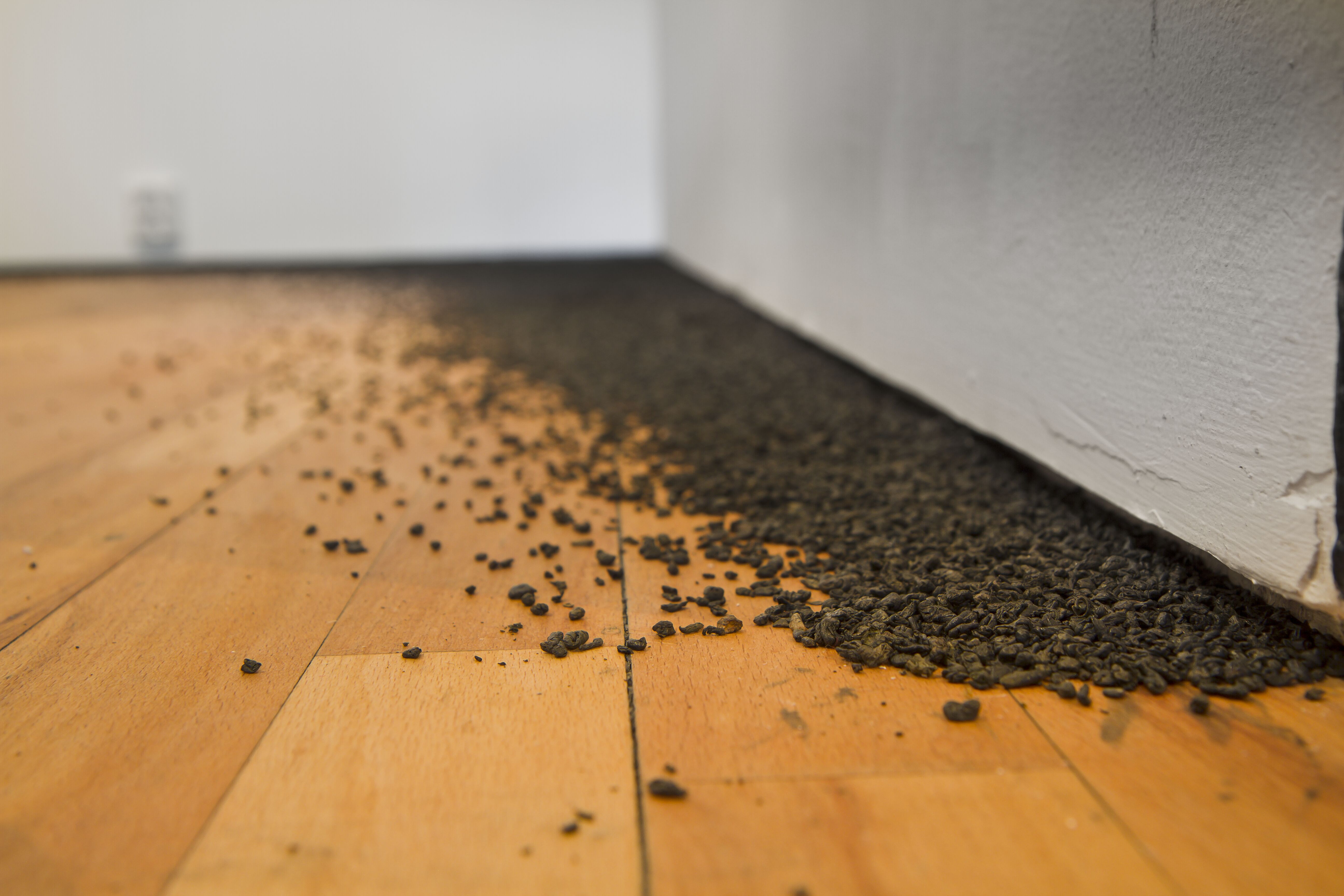 Latifa Echakhchs, Sans titre (Gunpowder), 2008 Courtesy the artist and kamel mennour, Paris. Installationsvy. 