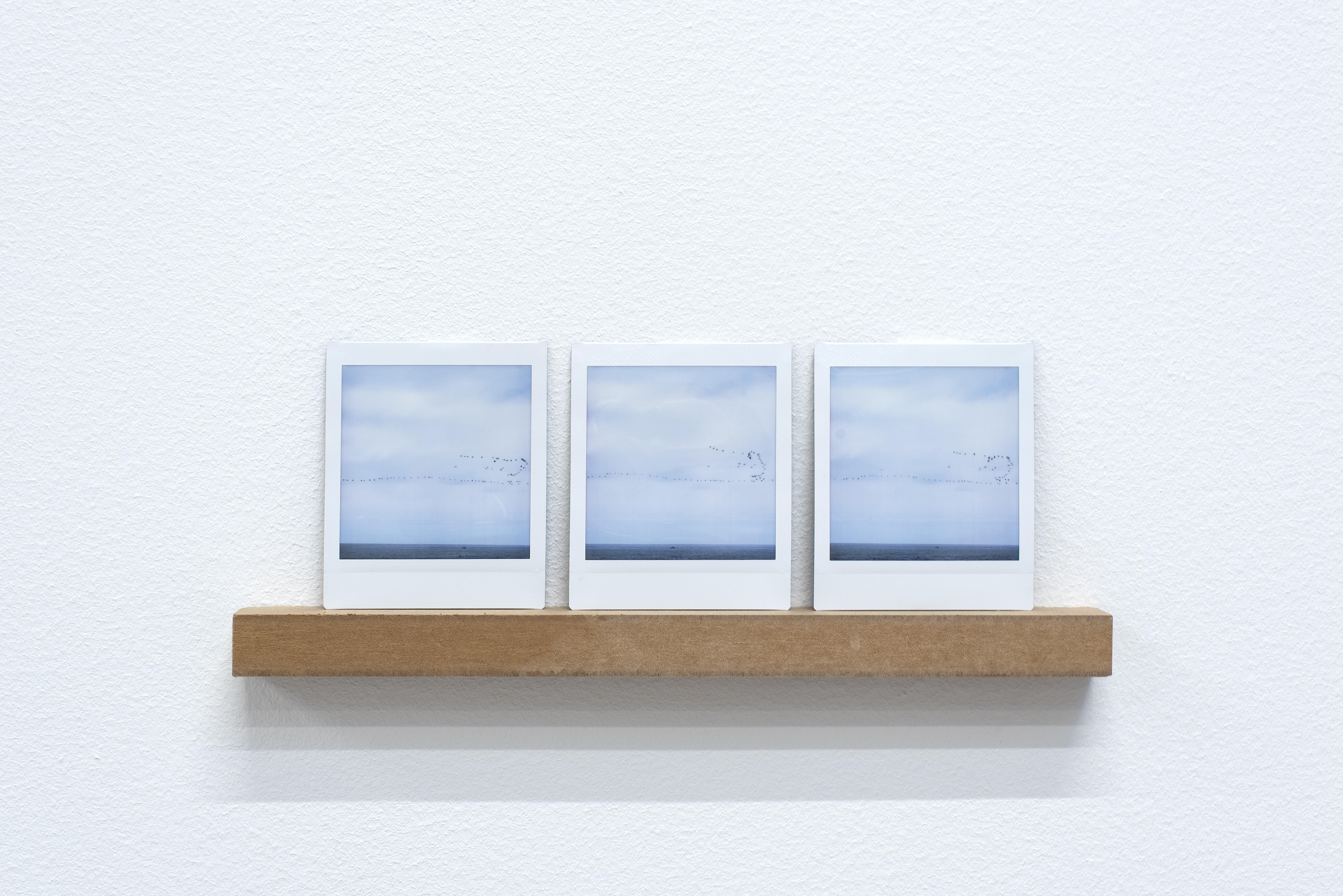 Majd Abdel Hamid, Ode to sea (Kerkennah, Beirut, Anafi), 2023- pågående.