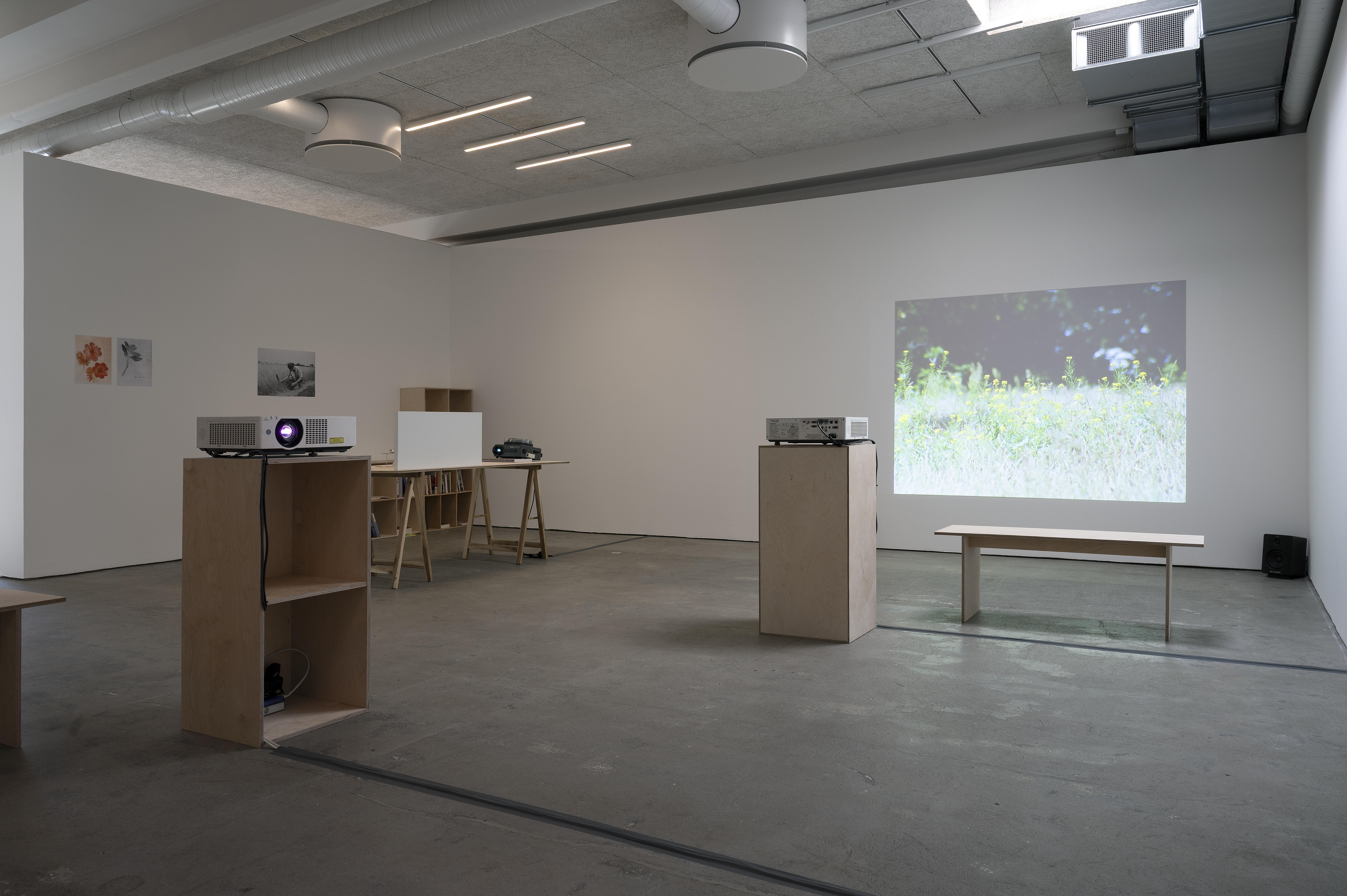 Pia Rönicke, Rosa's Letters, 2006. Installationsvy.