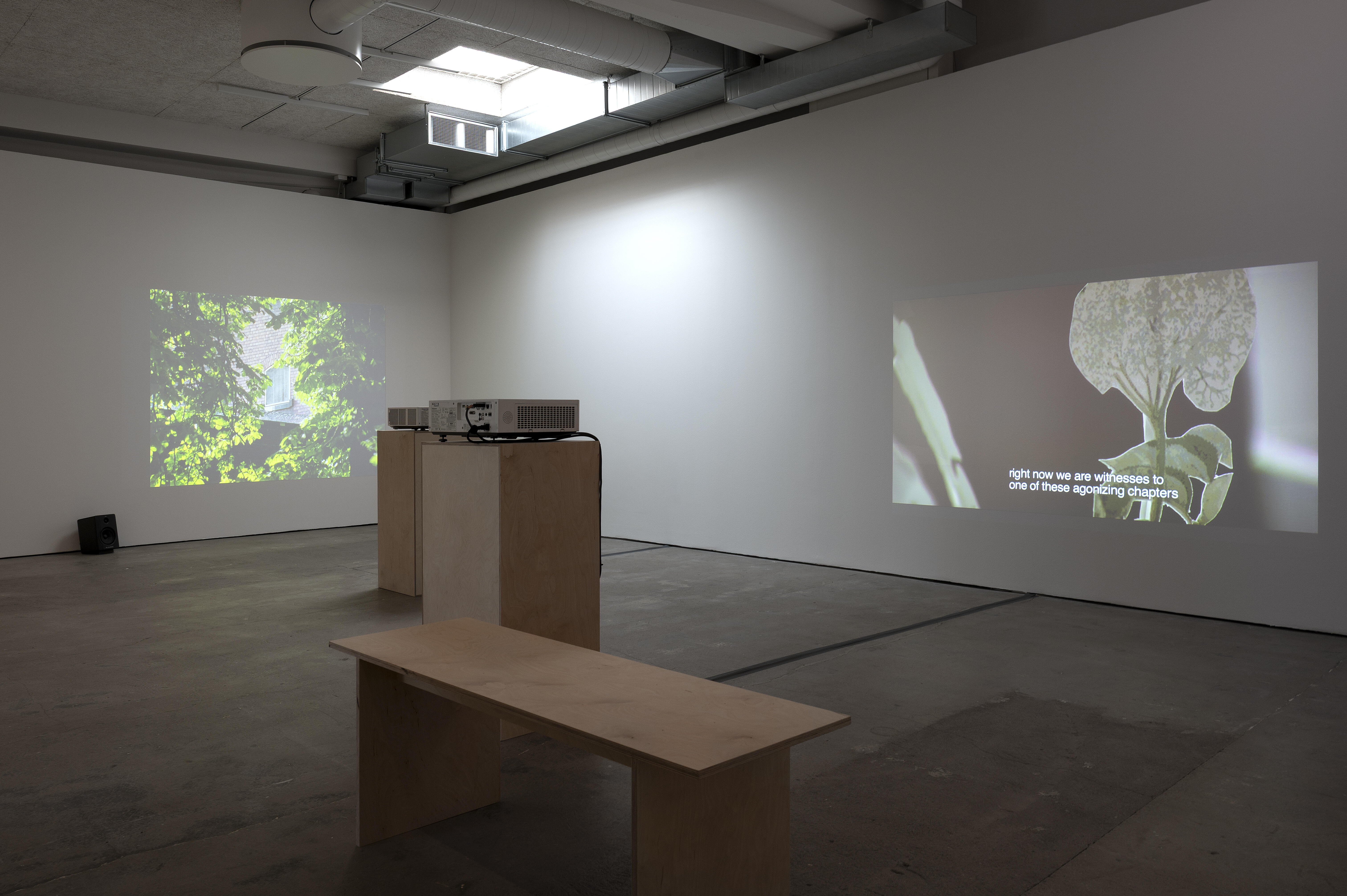 Pia Rönicke, Rosa's Letters, 2006. Installationsvy.