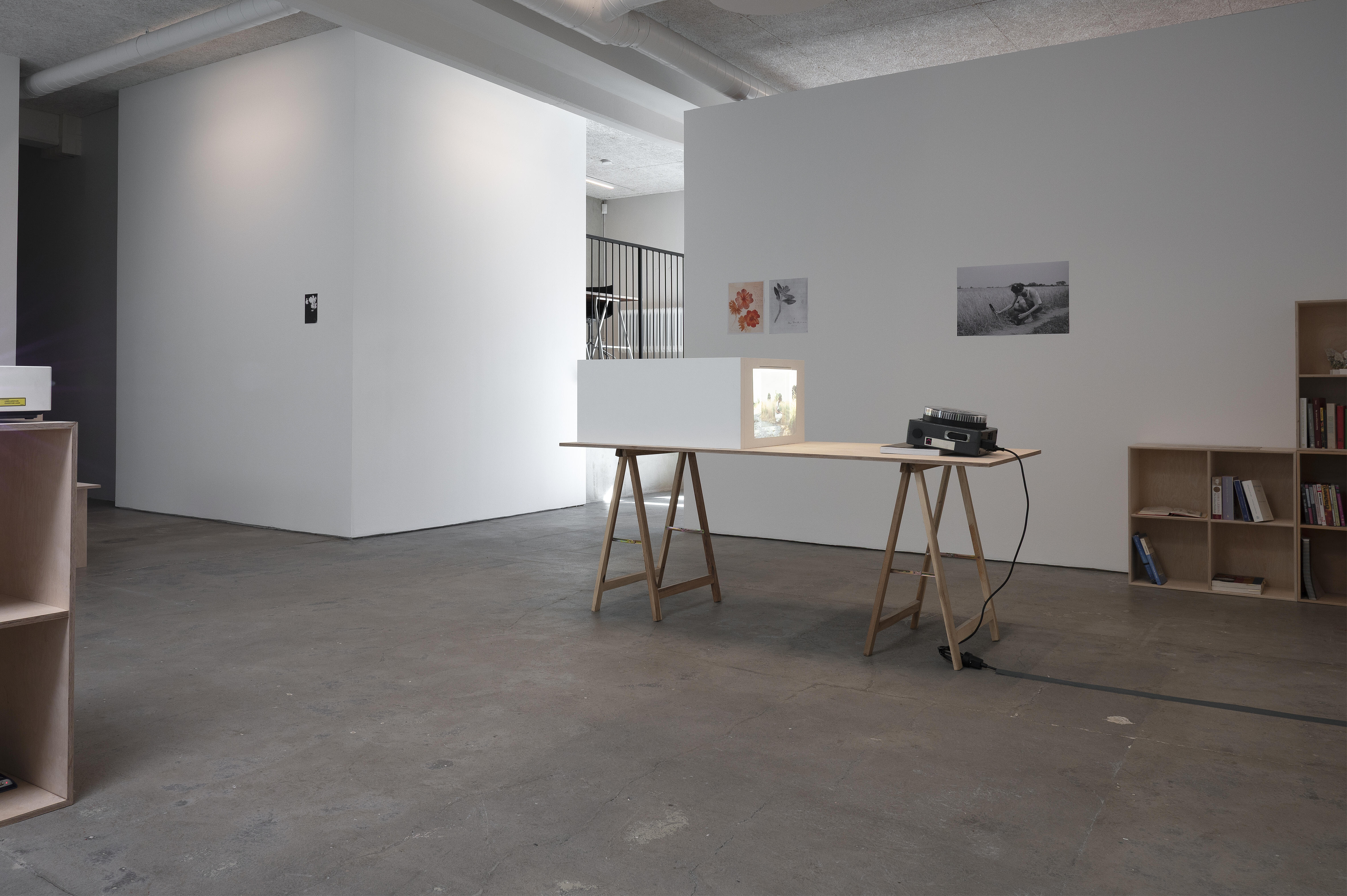 Pia Rönicke, Rosa's Letters, 2006. Installationsvy.