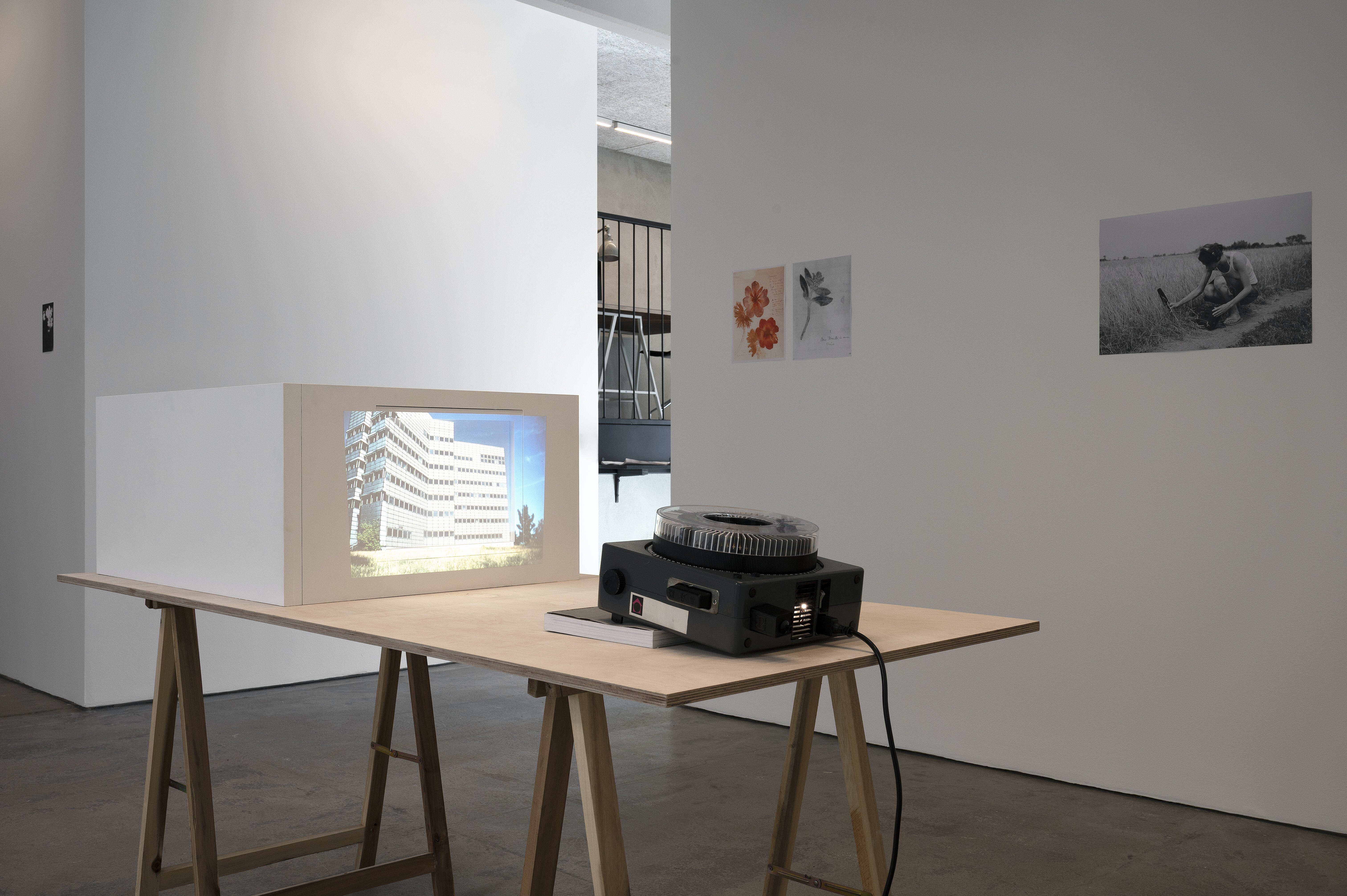 Pia Rönicke, Rosa's Letters, 2006. Installationsvy.