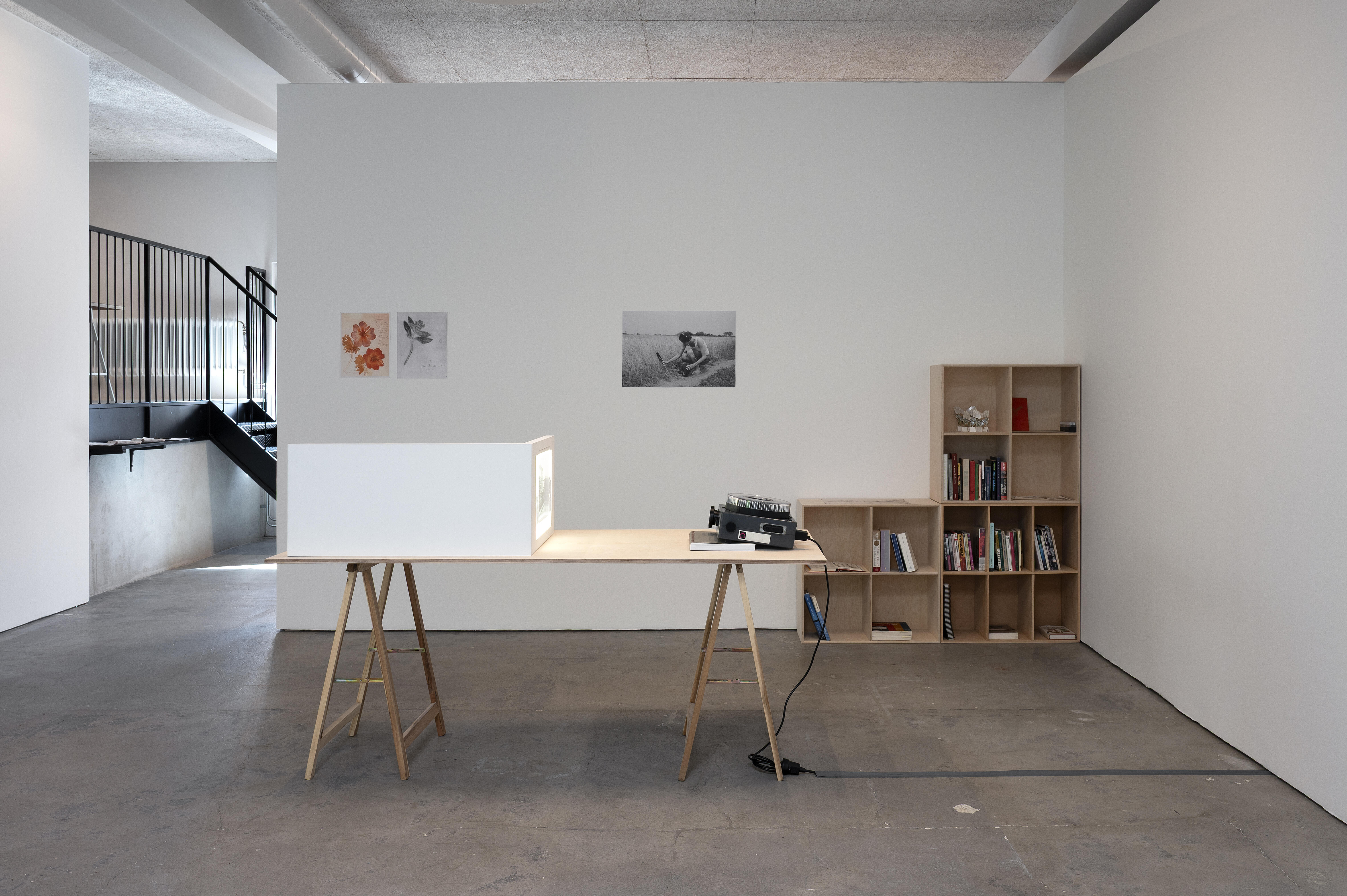 Pia Rönicke, Rosa's Letters, 2006. Installationsvy.