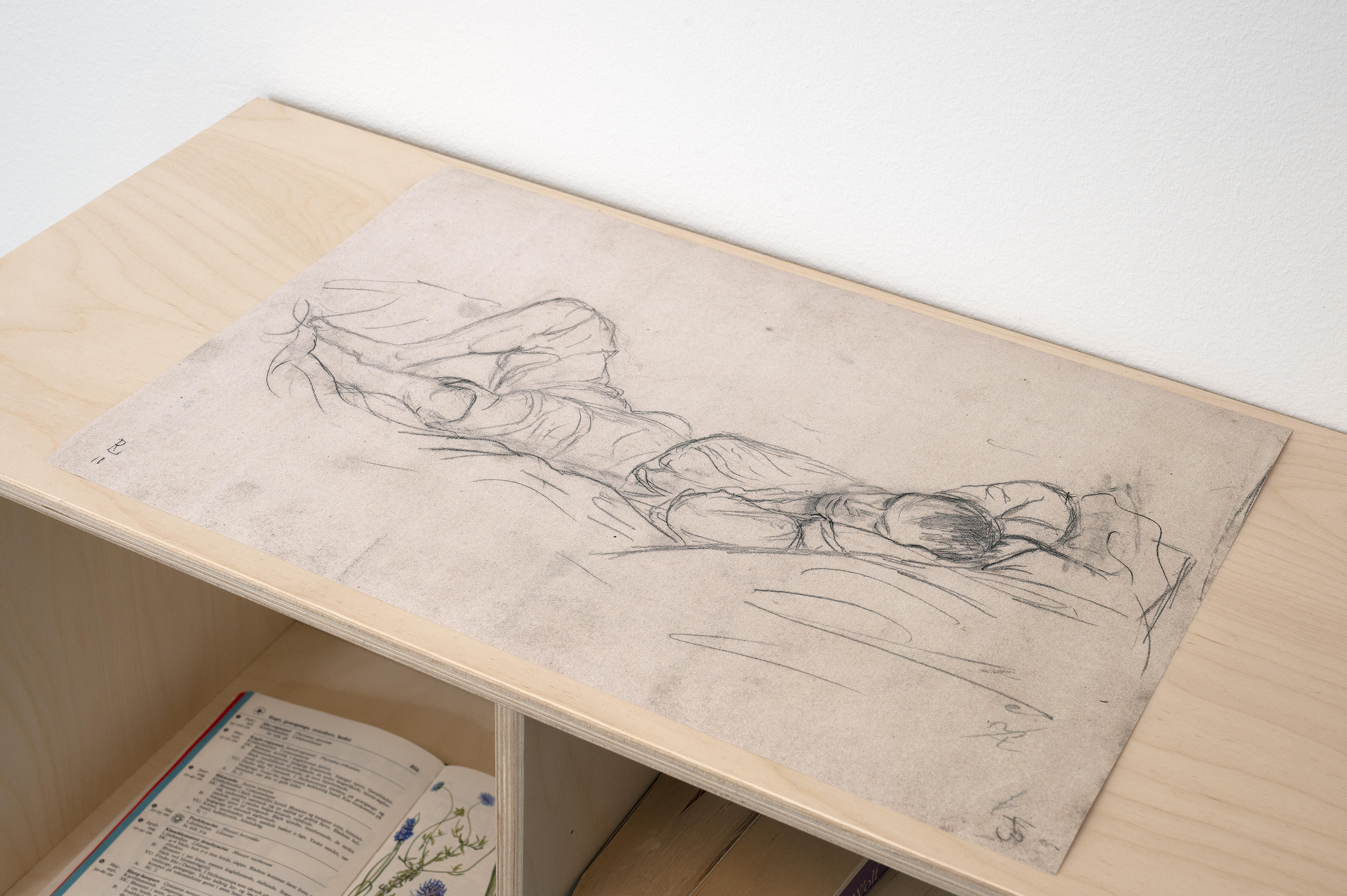 Pia Rönicke, Rosa's Letters, 2006. Detalj.
