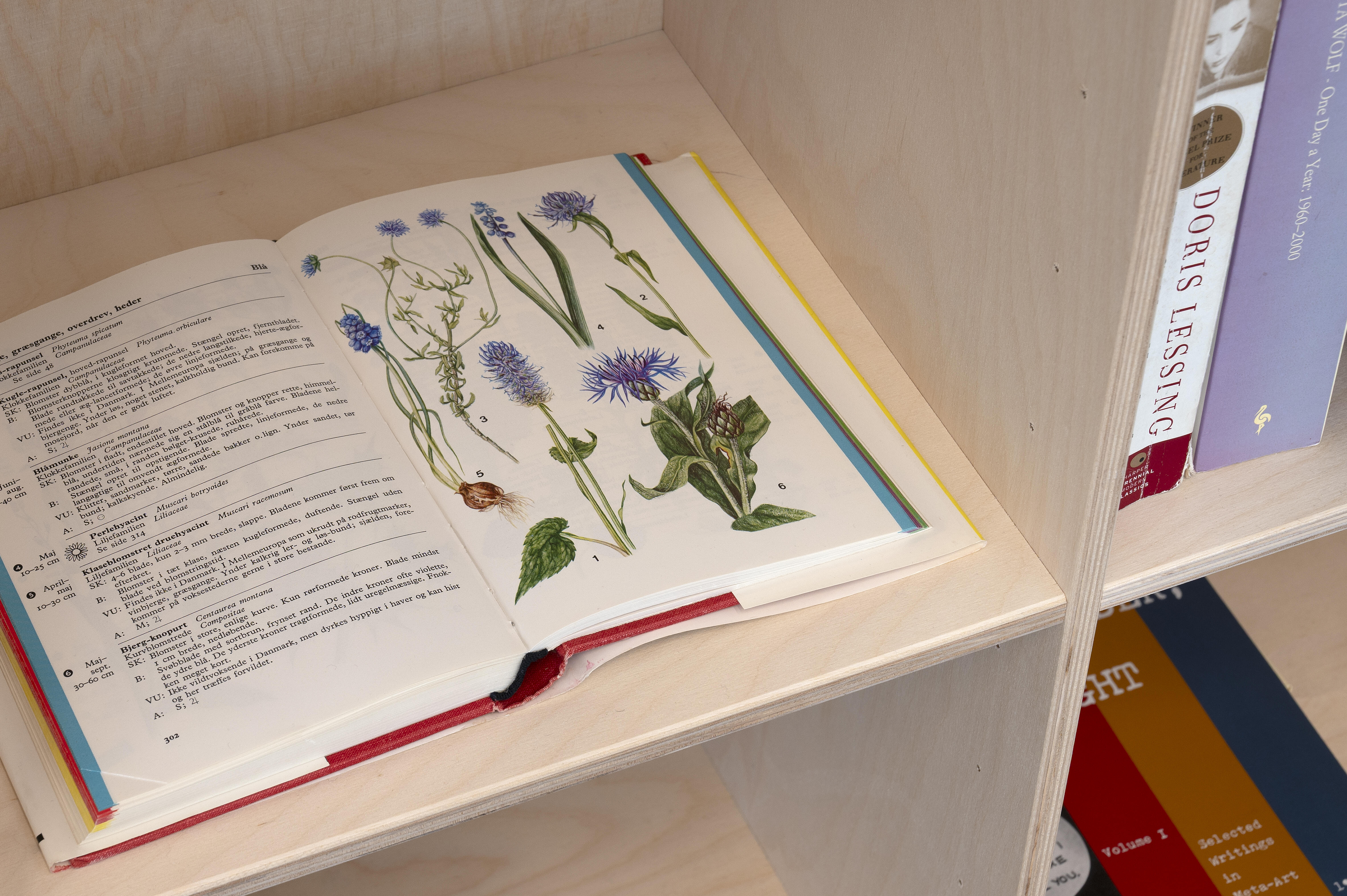 Pia Rönicke, Rosa's Letters, 2006. Detalj.
