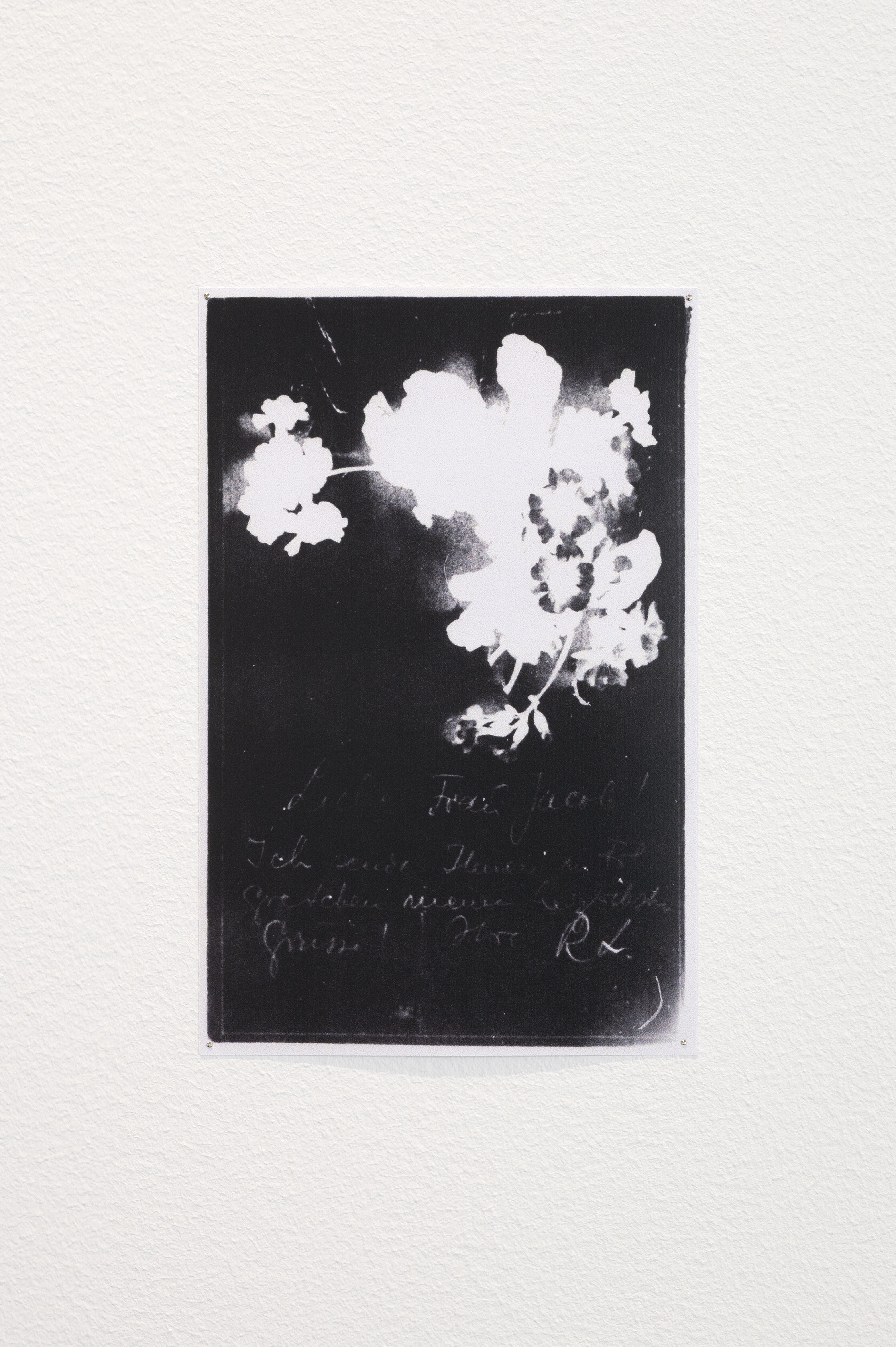 Pia Rönicke, Rosa's Letters, 2006. Detalj.
