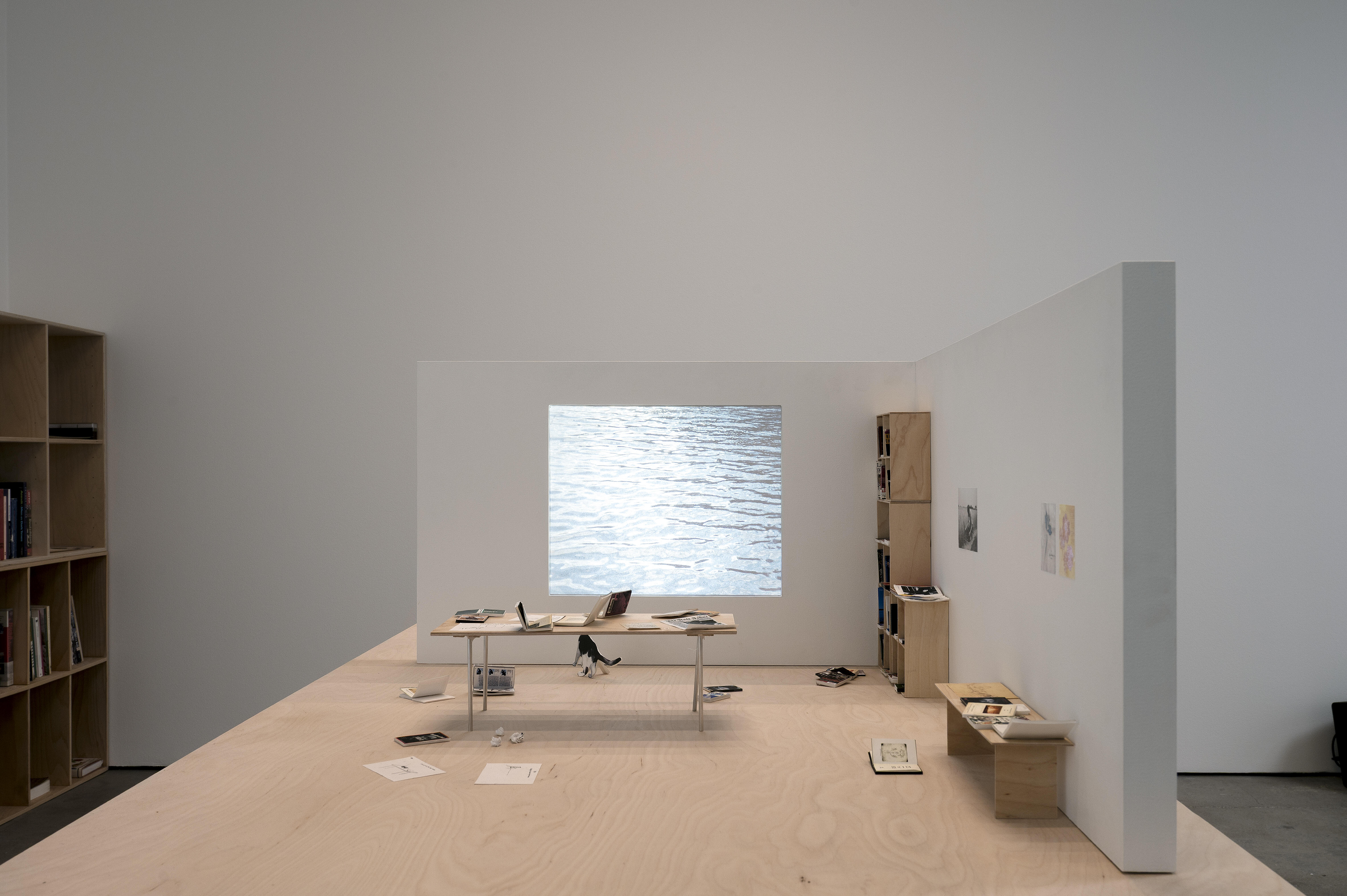 Pia Rönicke, Rosa's Letters, 2006. Detalj.