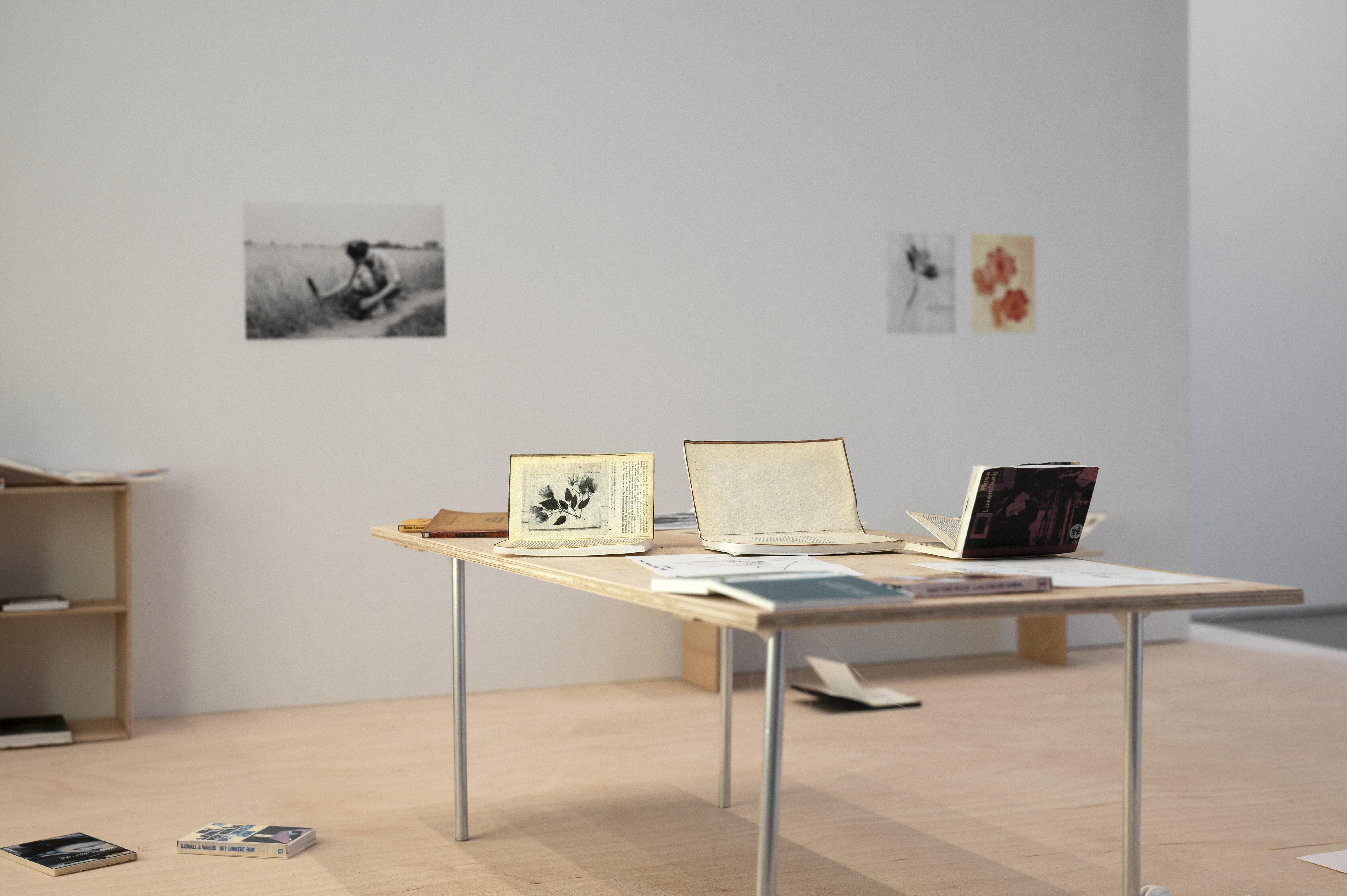 Pia Rönicke, Rosa's Letters, 2006. Detalj.