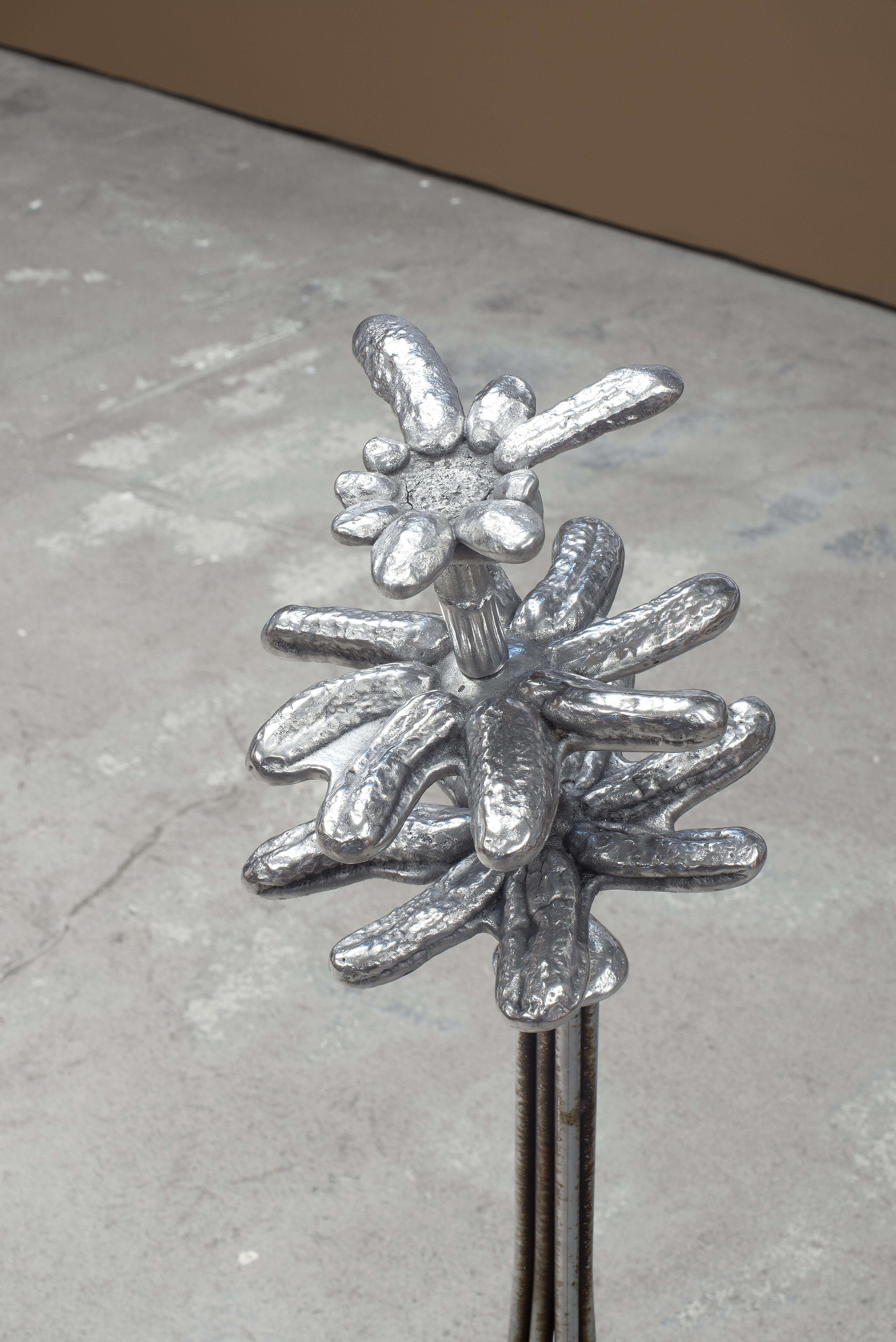 Matti Sumari, Perenn/Perennial, 2023. (detail)