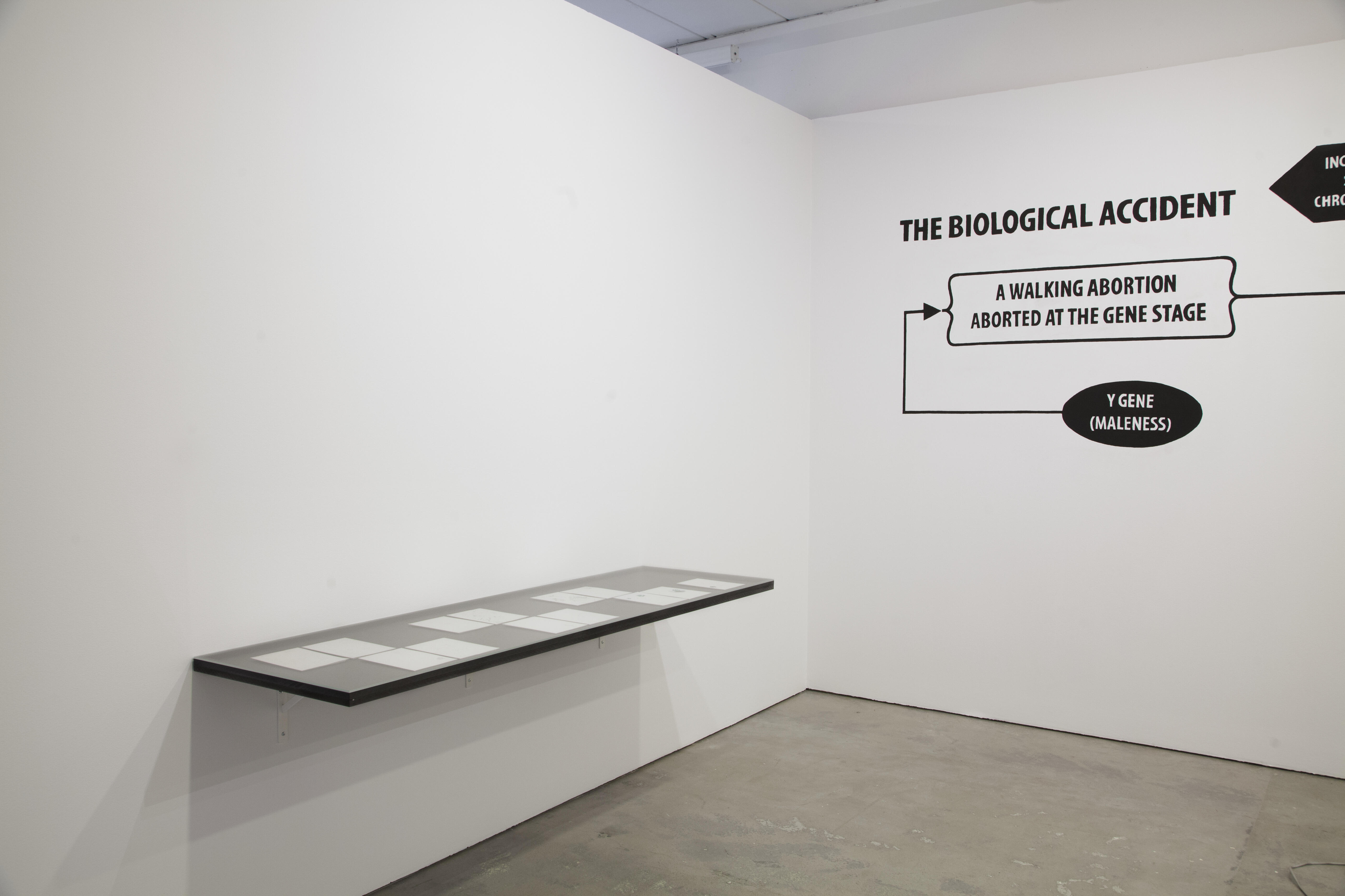 Our friend, Valerie Solanas. Installation view
