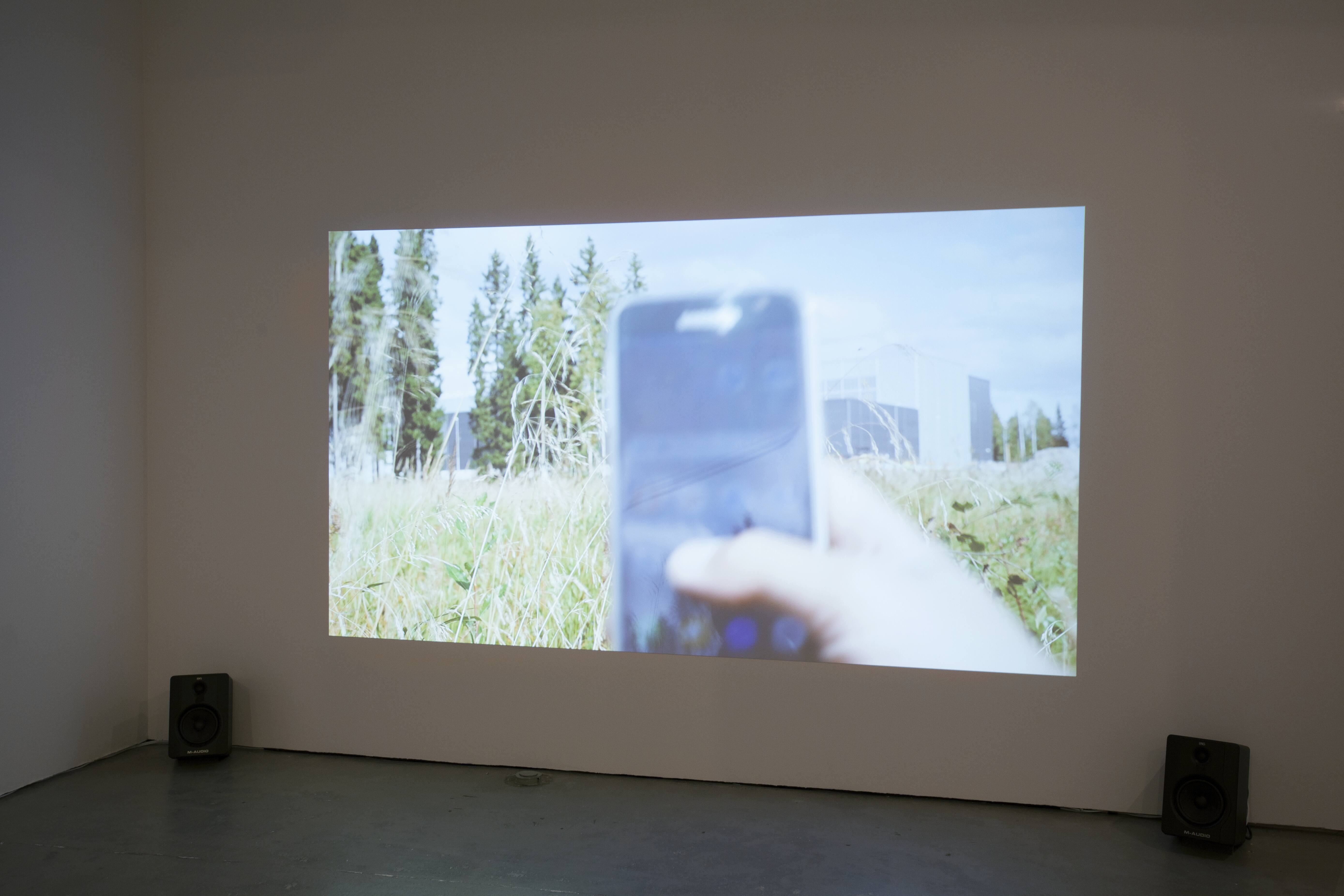 Andreas Kurtsson, Speculative Feed, 2017