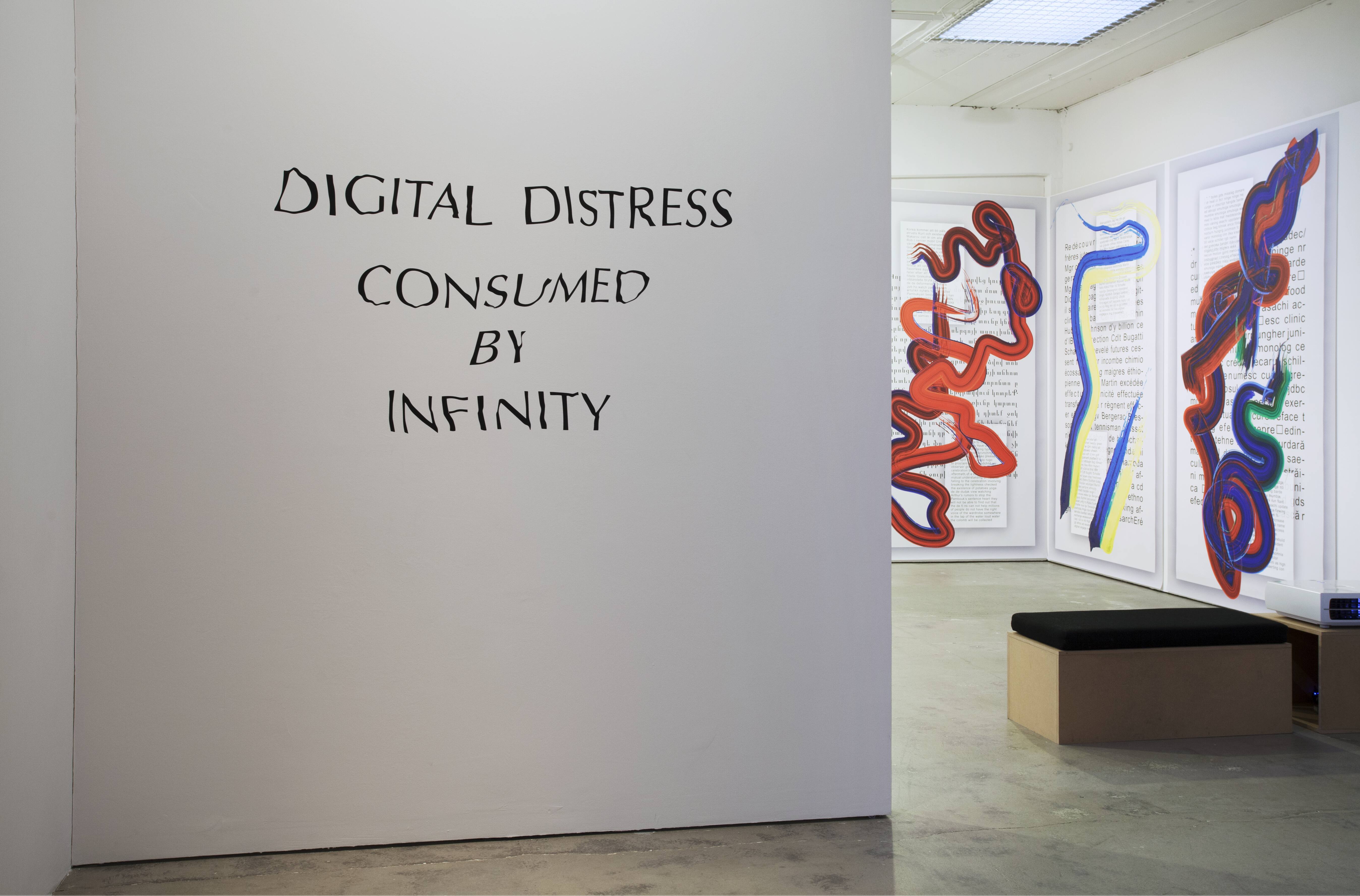 Digital Distress – Consumed by Infinity. Installation view.