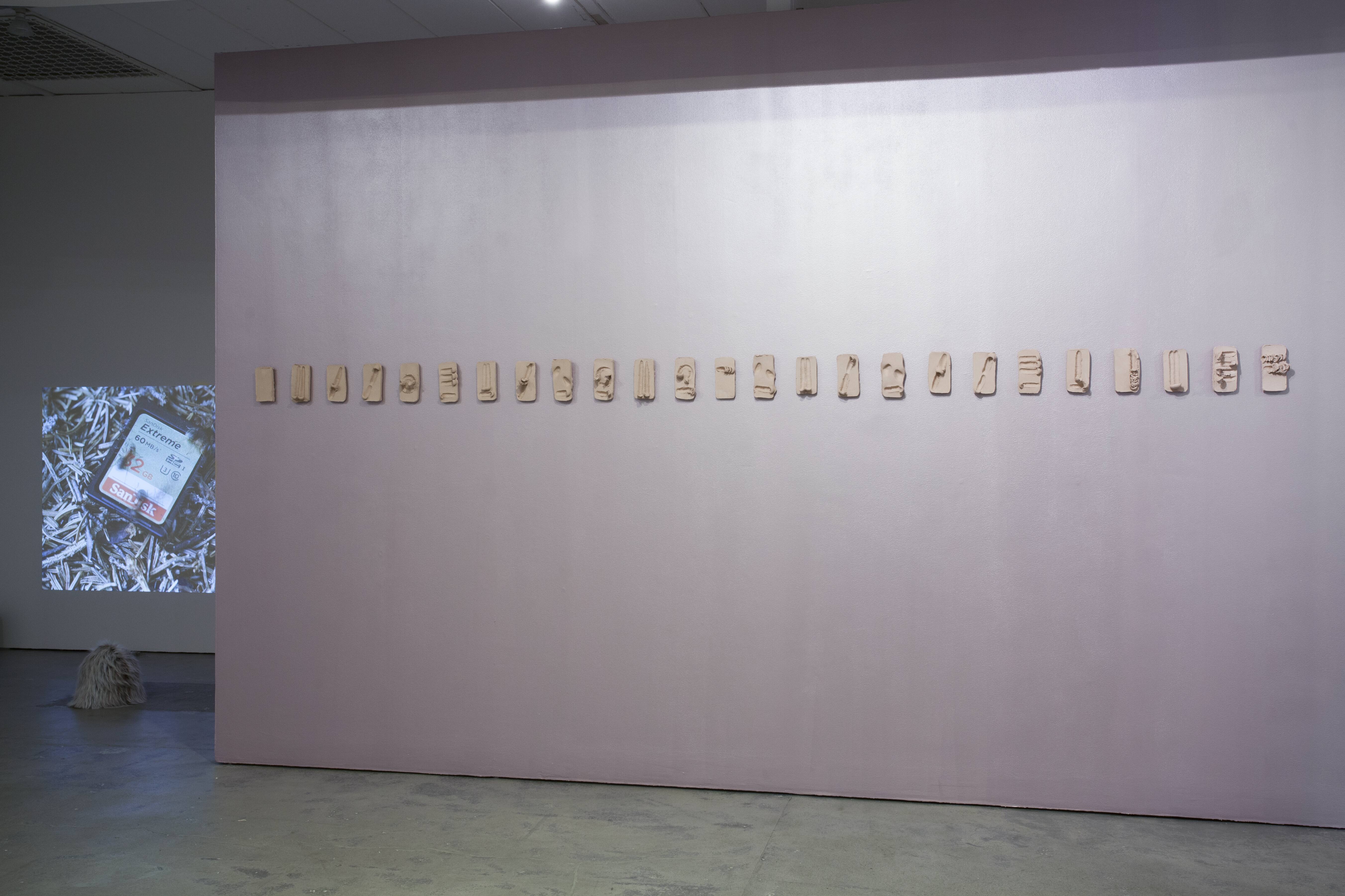 Alexandra Lerman, Release, 2017.