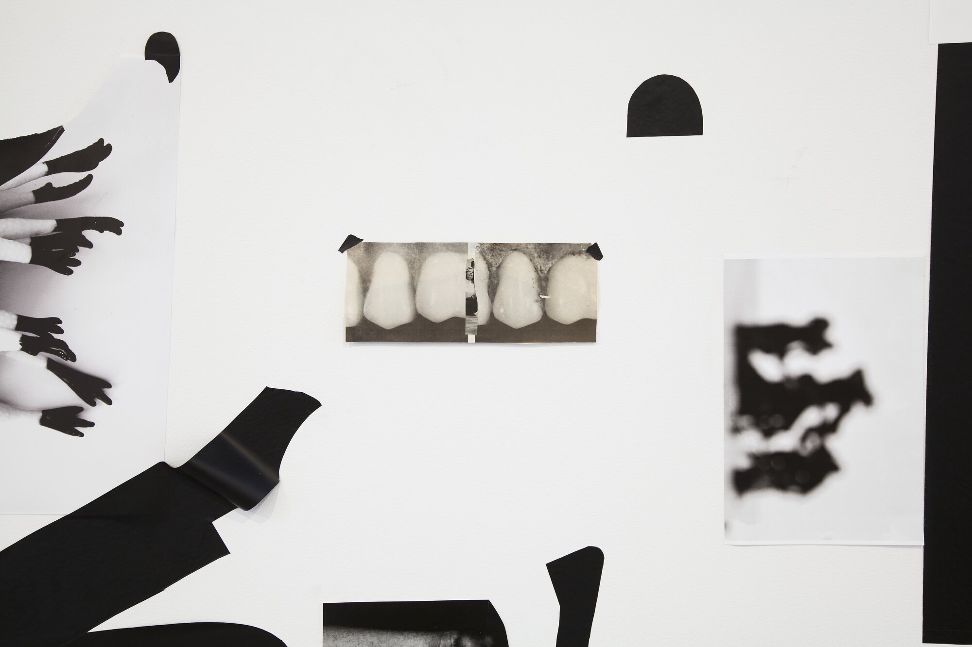 Dana DeGiulio, Syntax for Queen Lear, 2016. Detail.