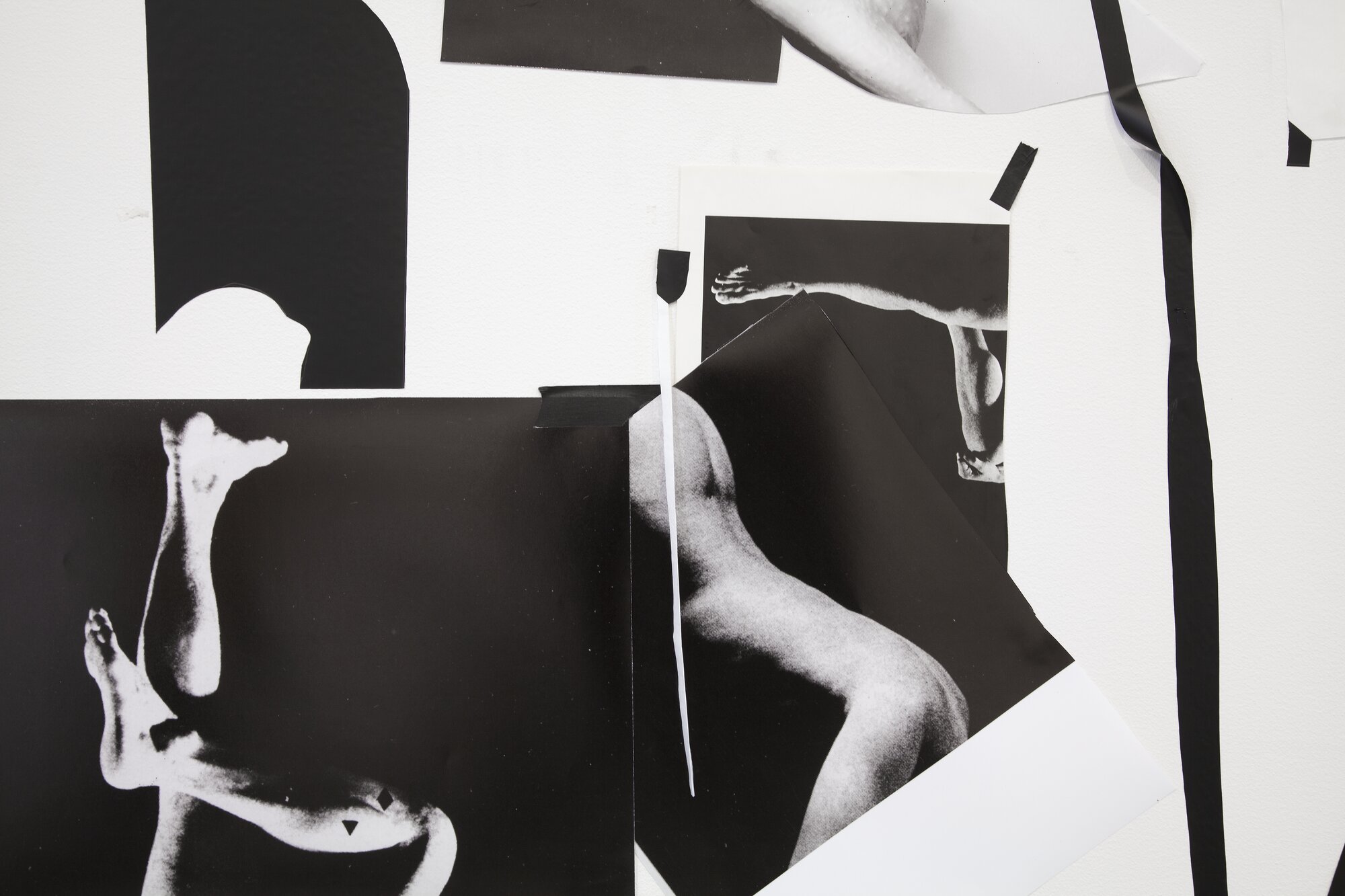 Dana DeGiulio, Syntax for Queen Lear, 2016. Detail.
