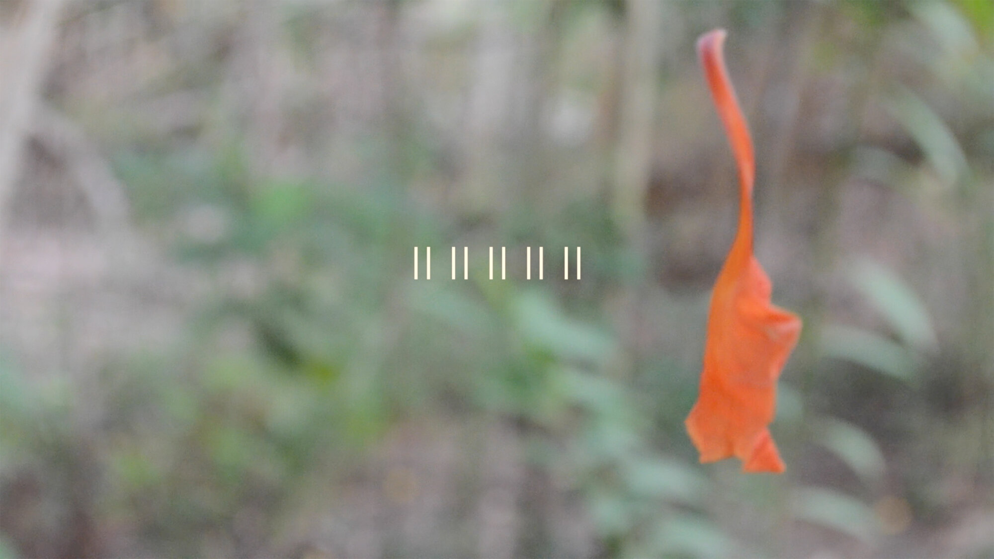 Minia Biabiany, Spelling. Still.