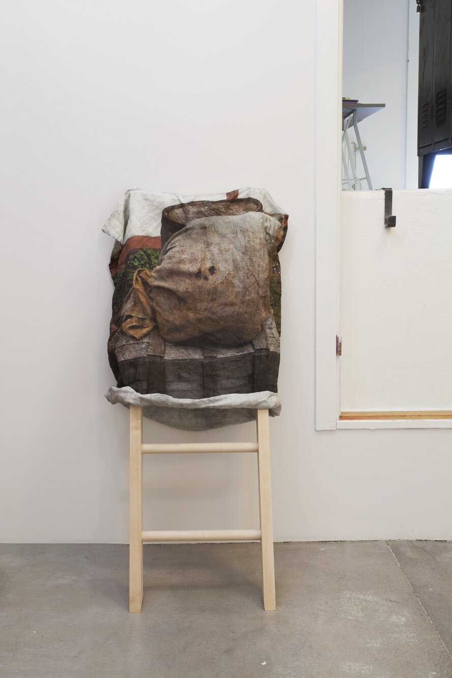 Allison Smith, Slip Cover, 2015.