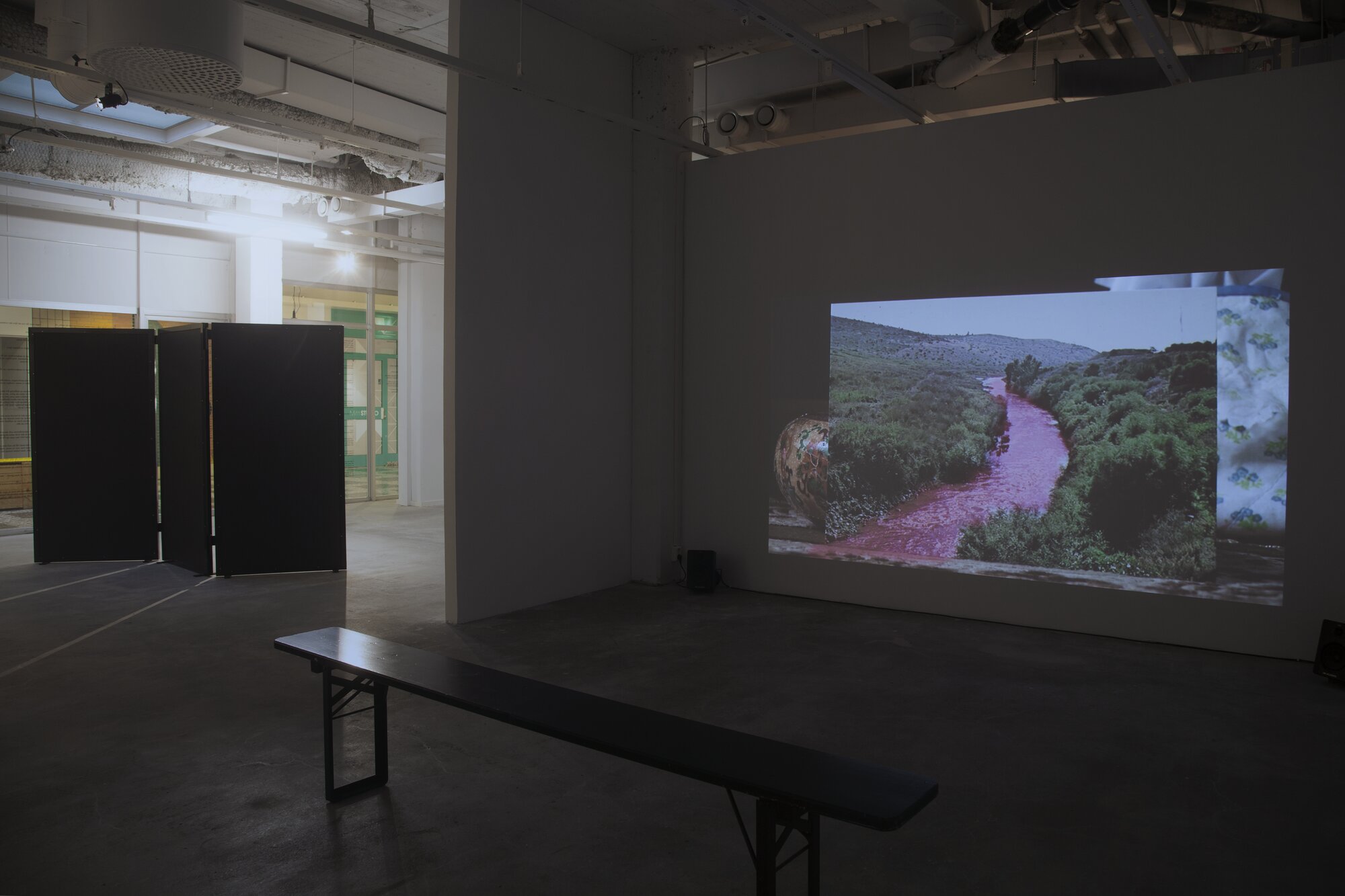 Jumana Emil Abboud, I Feel Nothing, 2013.