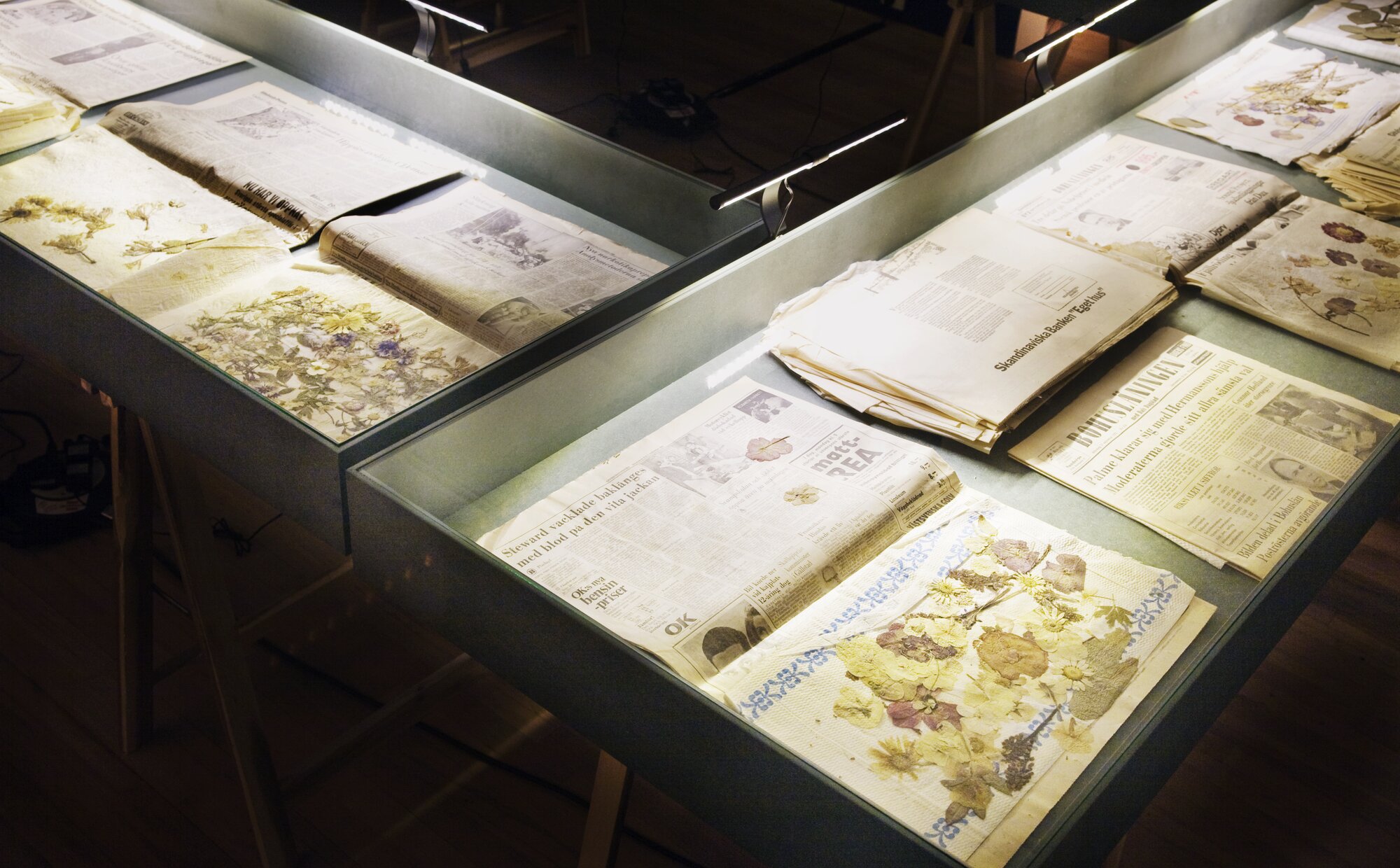 A-L. Löfberg, Herbarium, 1968-71. Detail.