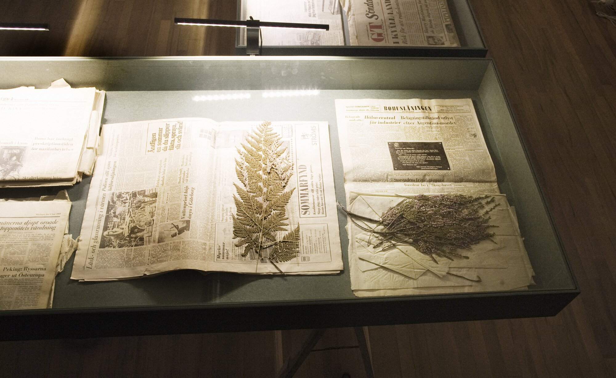 A-L. Löfberg, Herbarium, 1968-71. Detail.
