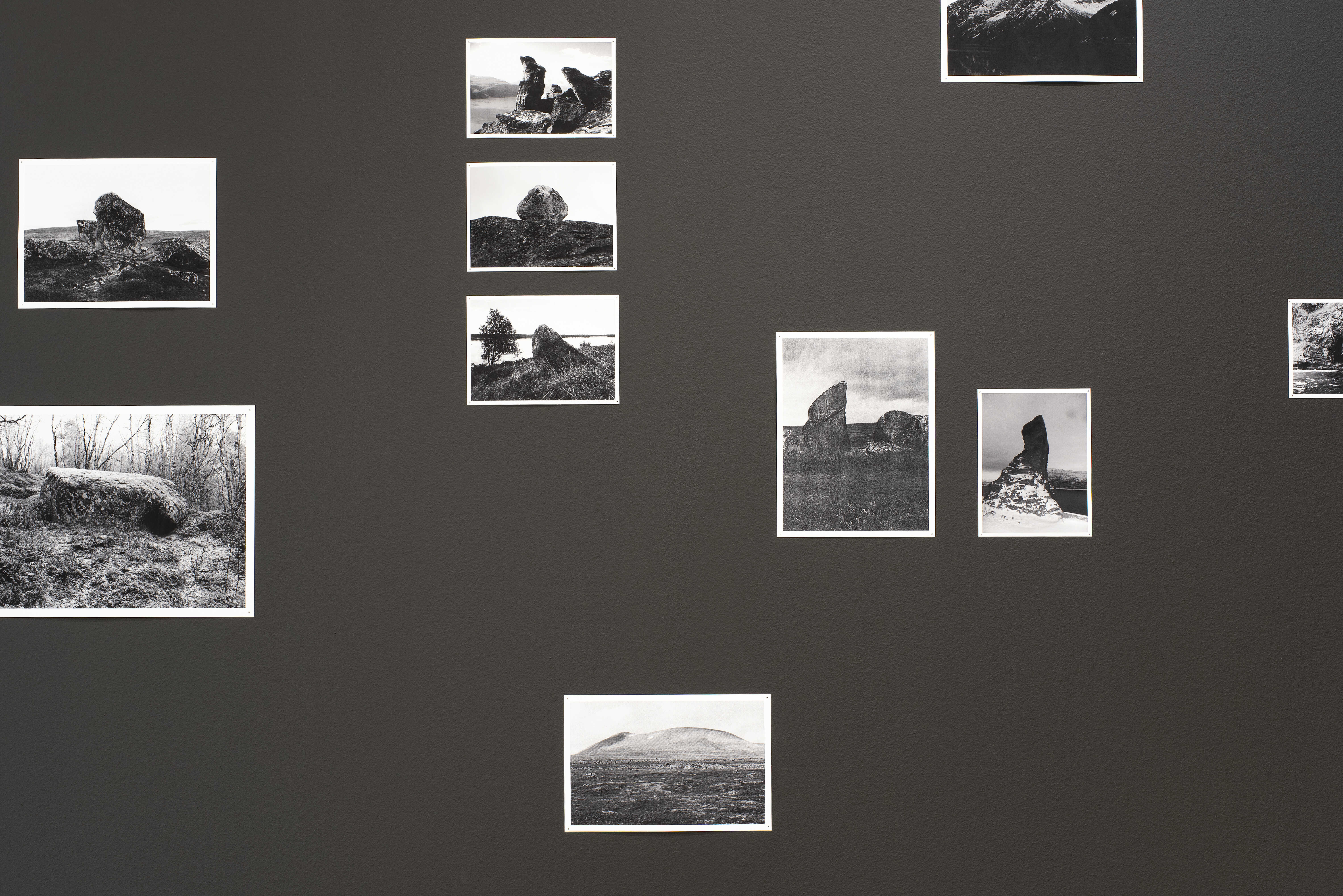 niilas helander, An Ecological Contract, 2025 (detail). 