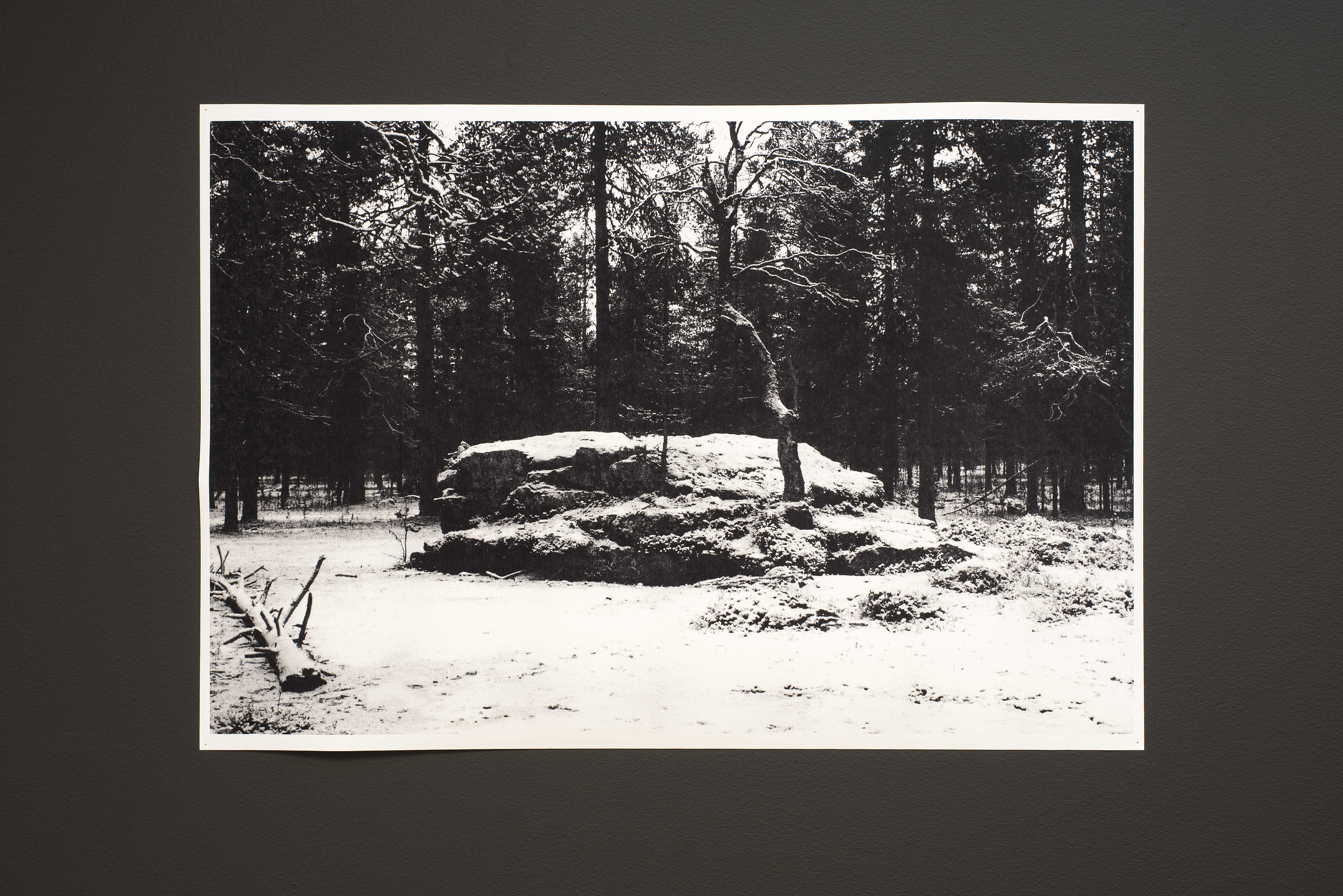 niilas helander, An Ecological Contract, 2025 (detail). 