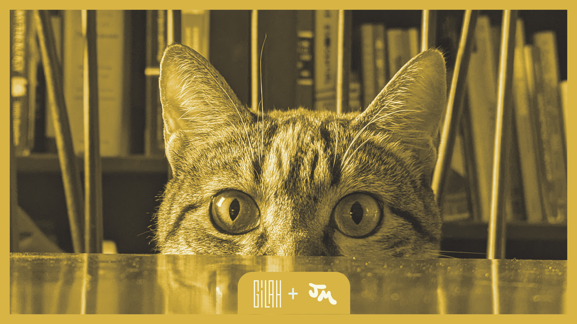 Close-up of a tabby cat's face peeking over a reflective surface with a blurred bookshelf background.