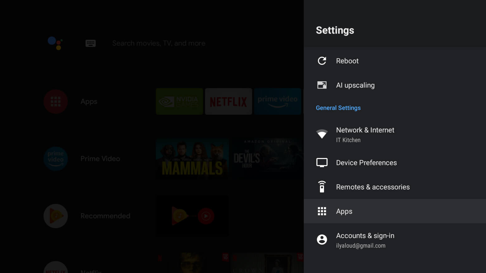 Android TV 11 settings