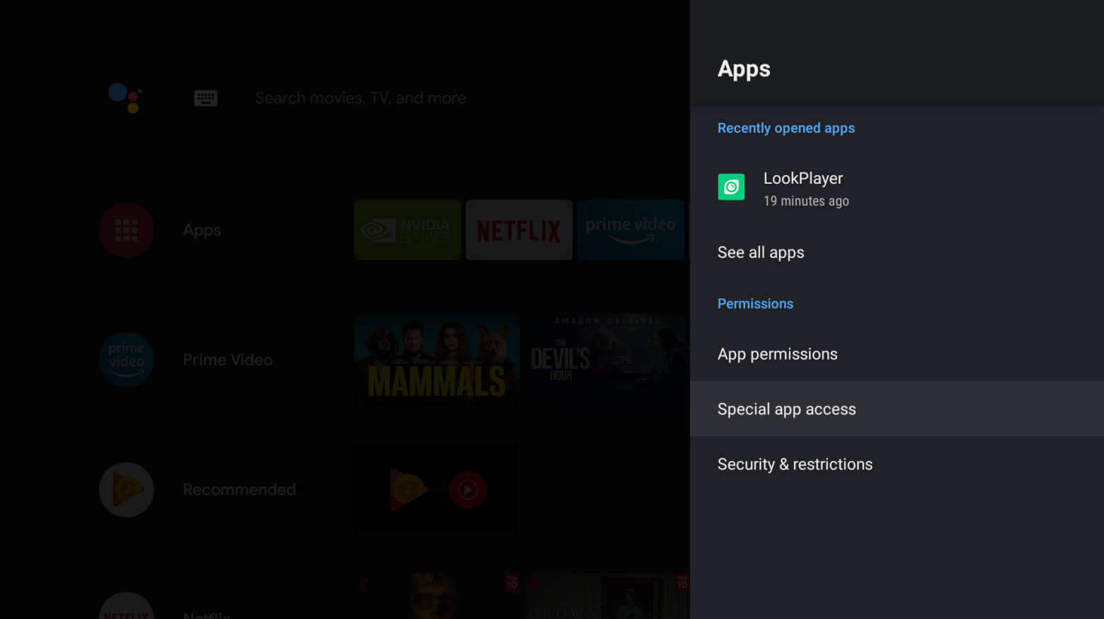 Android TV 11 settings