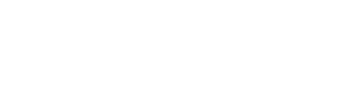 Andela logo