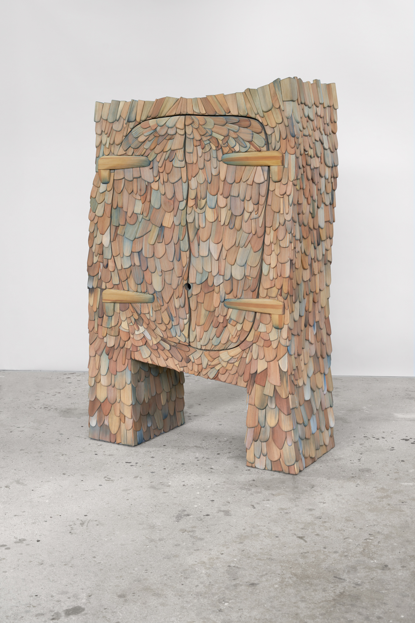 Armadillo Cabinet (Medium)