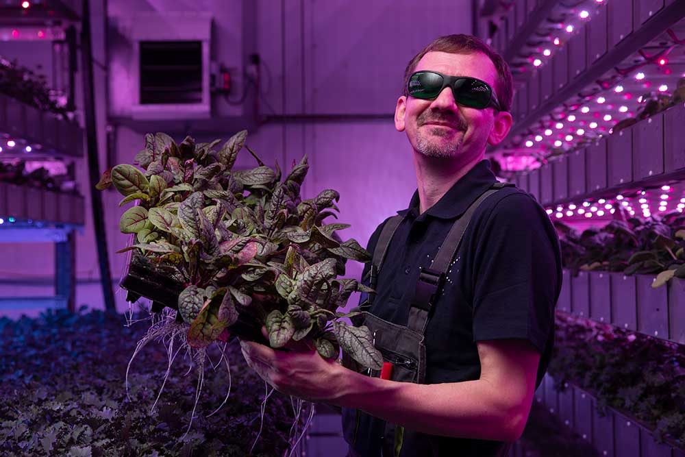 Man standing with safety googles on holding leafy greens grown in a IGS vertical farm. Growth tower is in background.