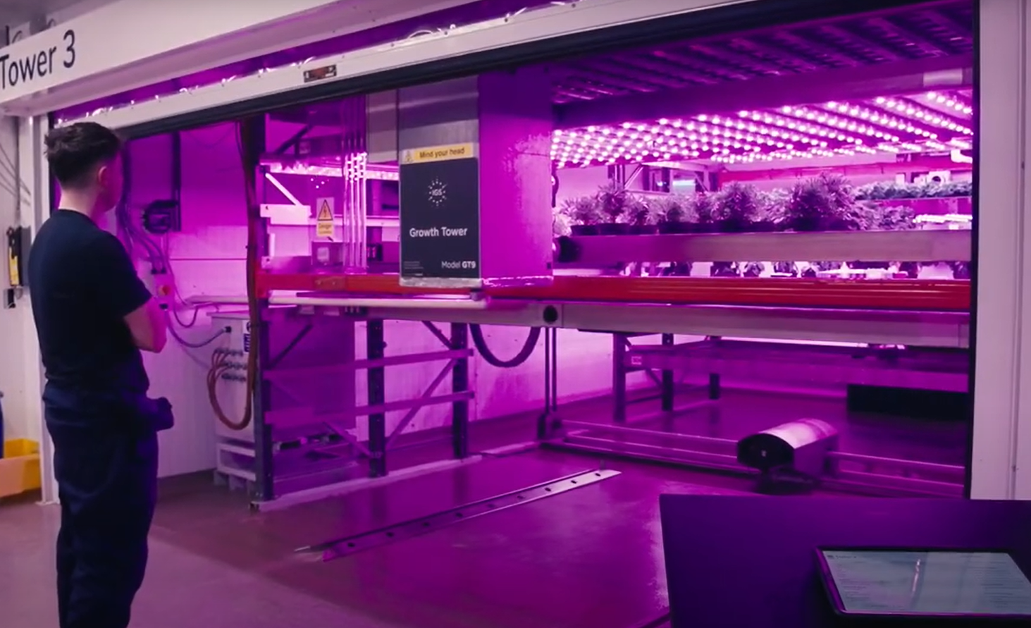 Operator monitors vertical farm Growth Tower with purple LED lights and plant trays.