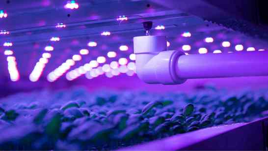 Vertical farm facility with Growth Trays, LED lights, and central HVAC technology.