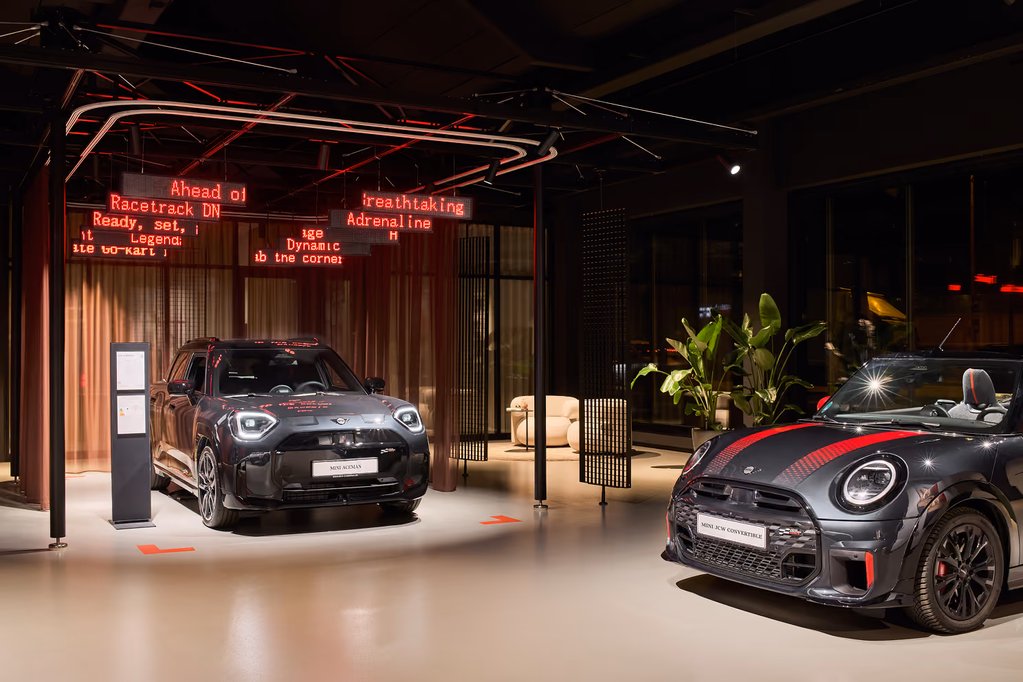 Zwei schwarze MINI-Fahrzeuge in einem modernen, gut beleuchteten Ausstellungsraum mit Pflanzen.