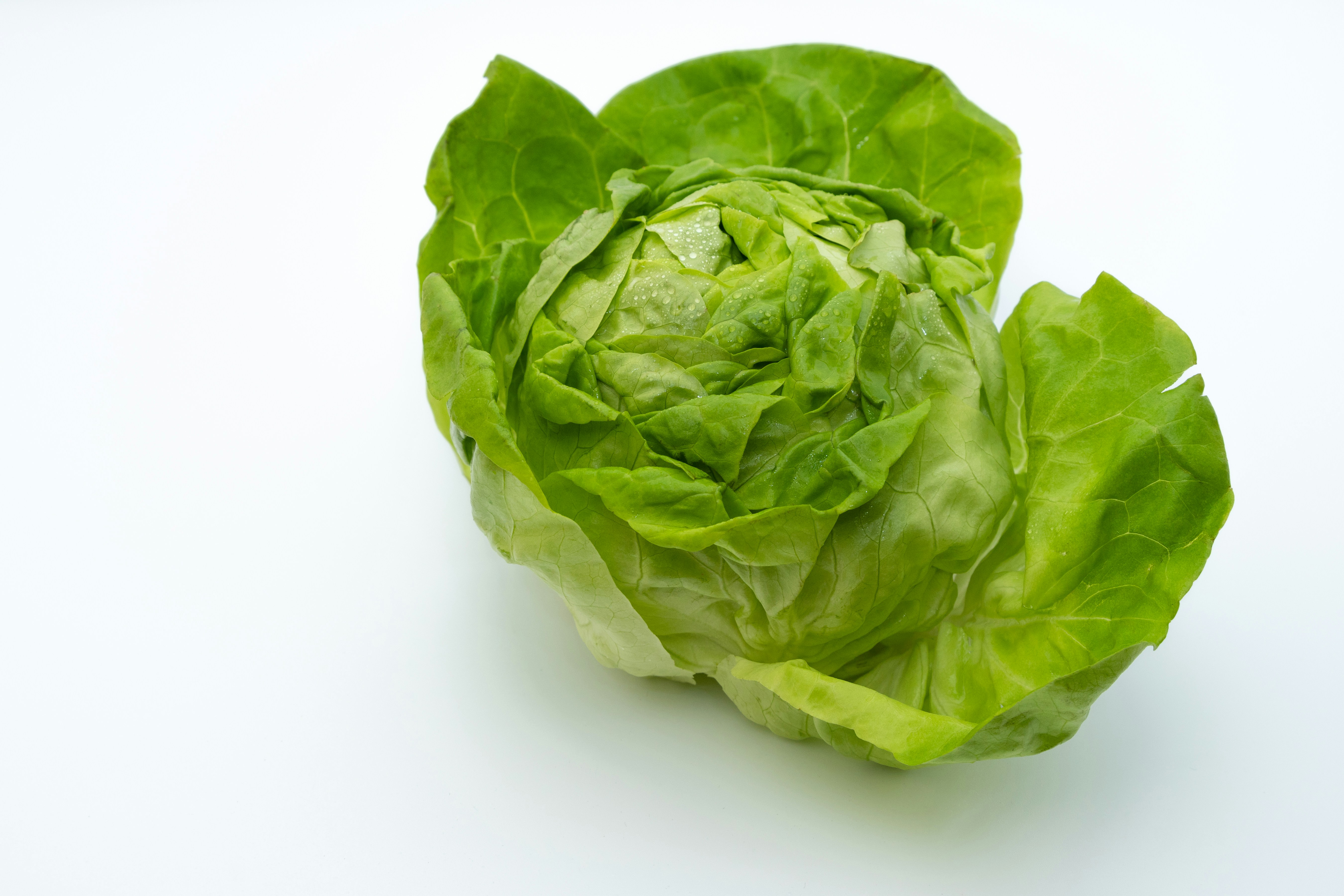 The Lettuce Recall Is an Insurer’s Nightmare