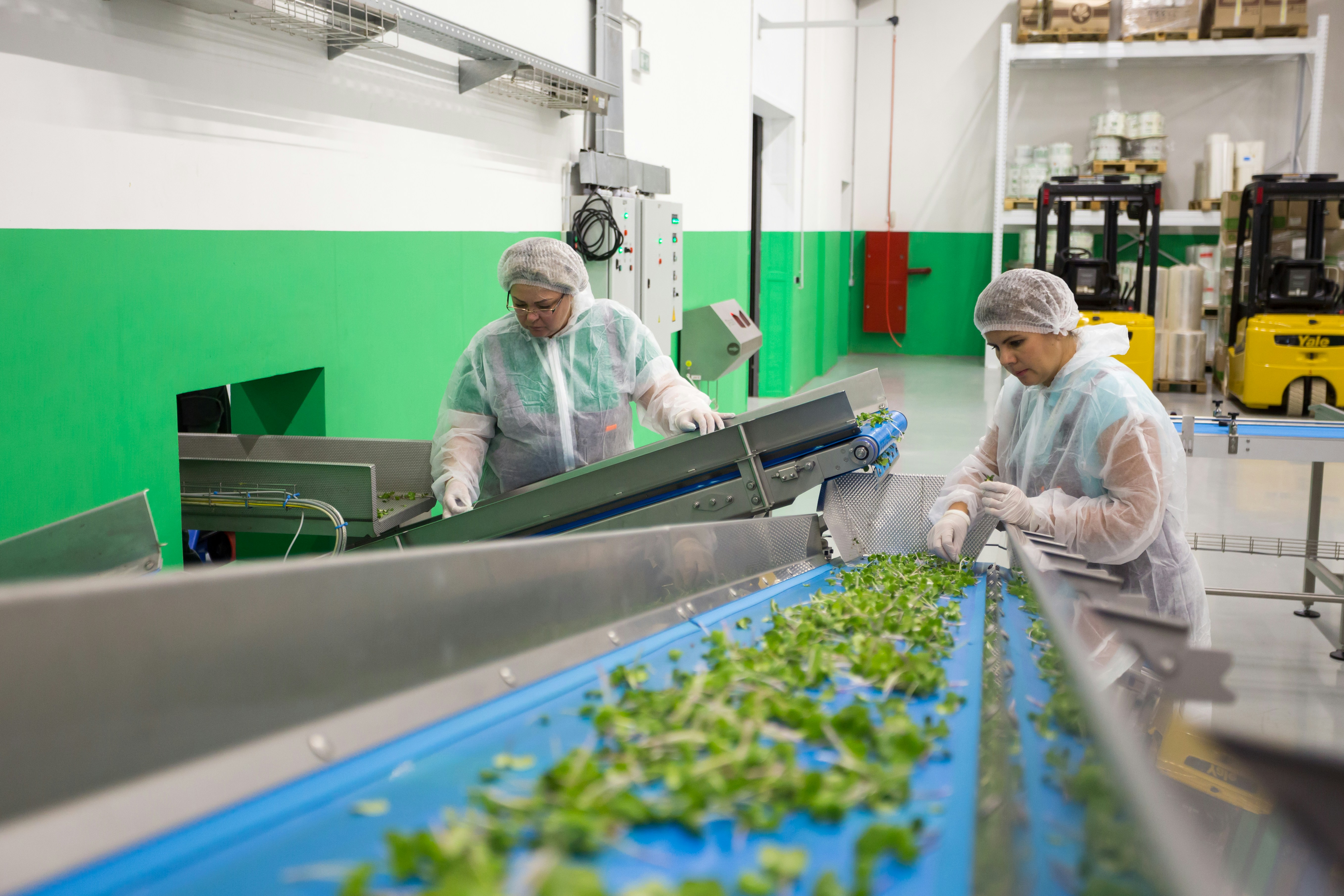 Knowing Your Supply Chain Will Help Address Bigger Recalls