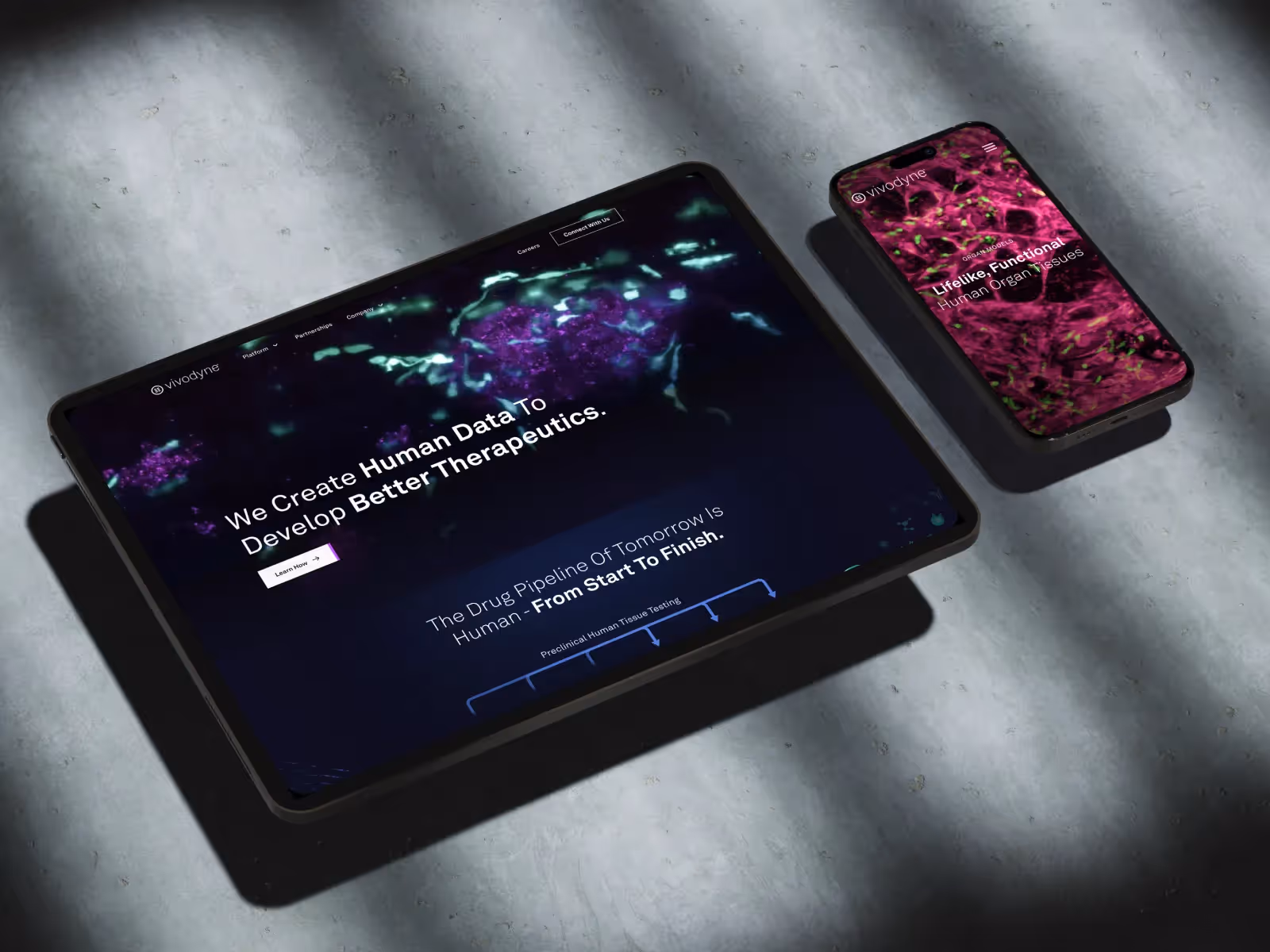 Vivodyne Raises $38 Million After Redesign