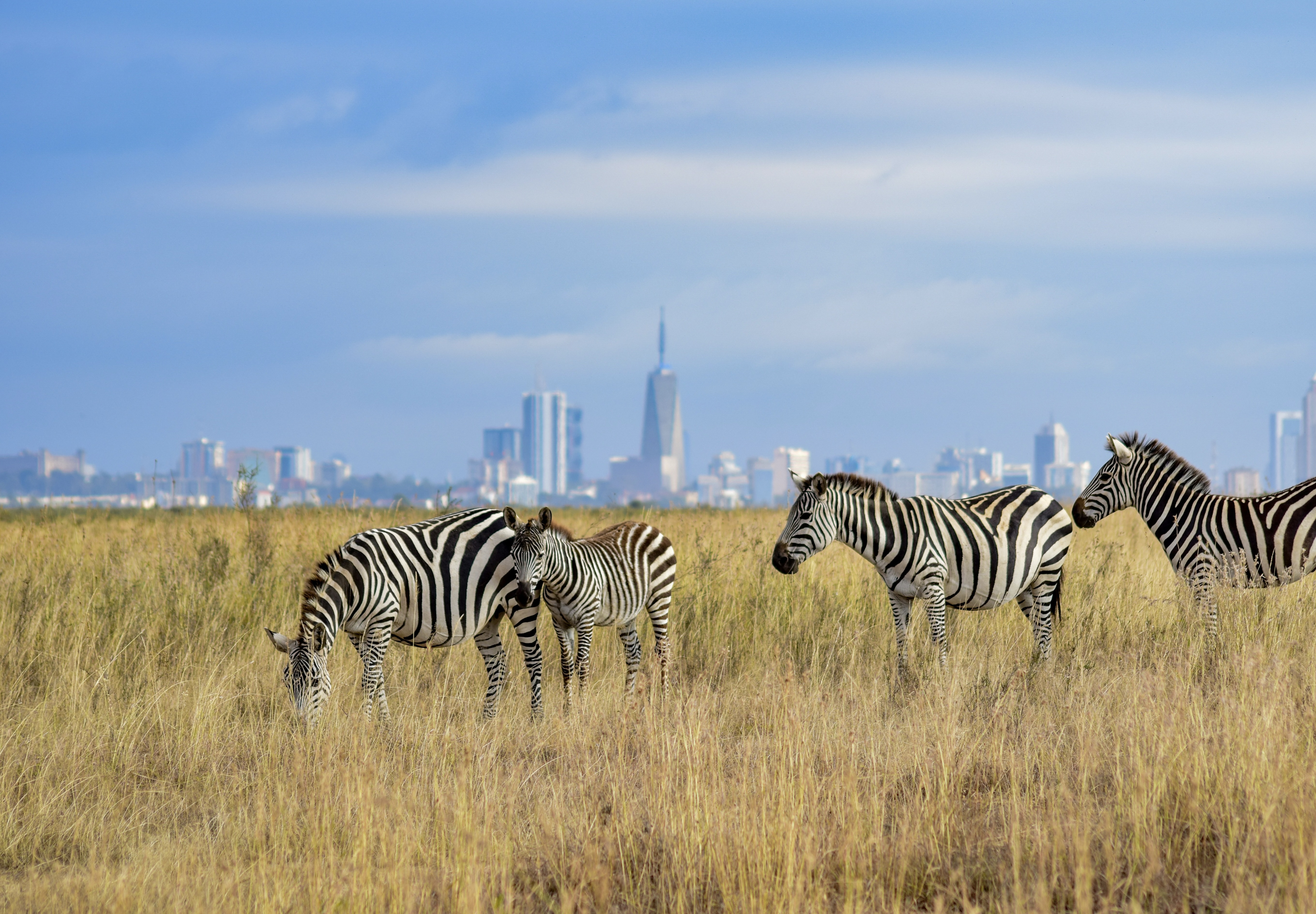 Top 10 UX/UI Design Agencies in Nairobi, Kenya