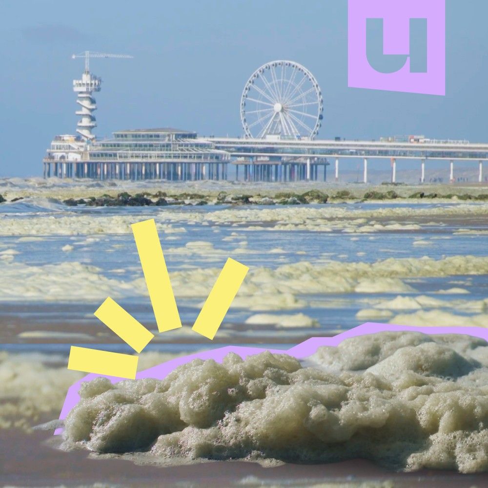 Waarom schuim op het strand vol zit met gif