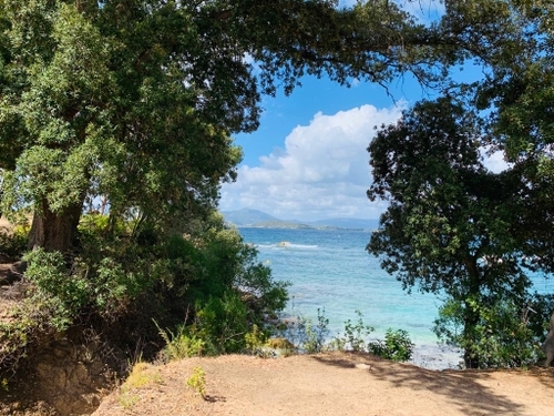 Eine von Bäumen umrandete Aufnahme einer Küste