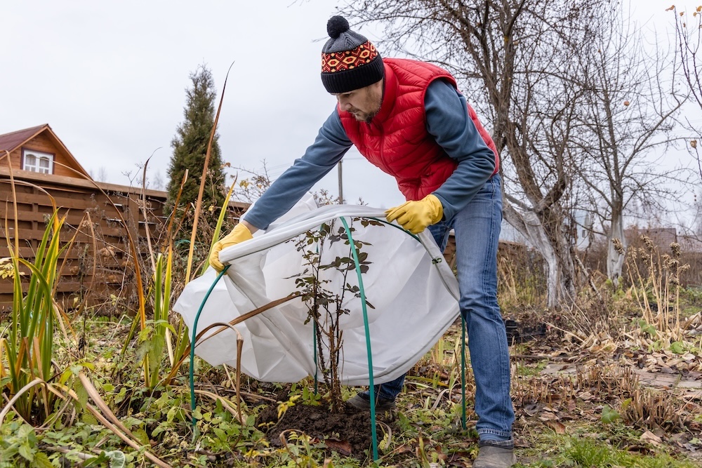 Cold climate gardening is one of the best dropshipping niches with low competition.