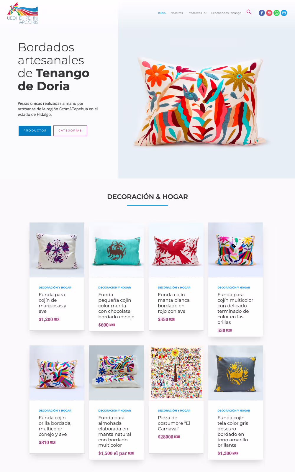 Diseño de páginas web profesionales Pachuca
