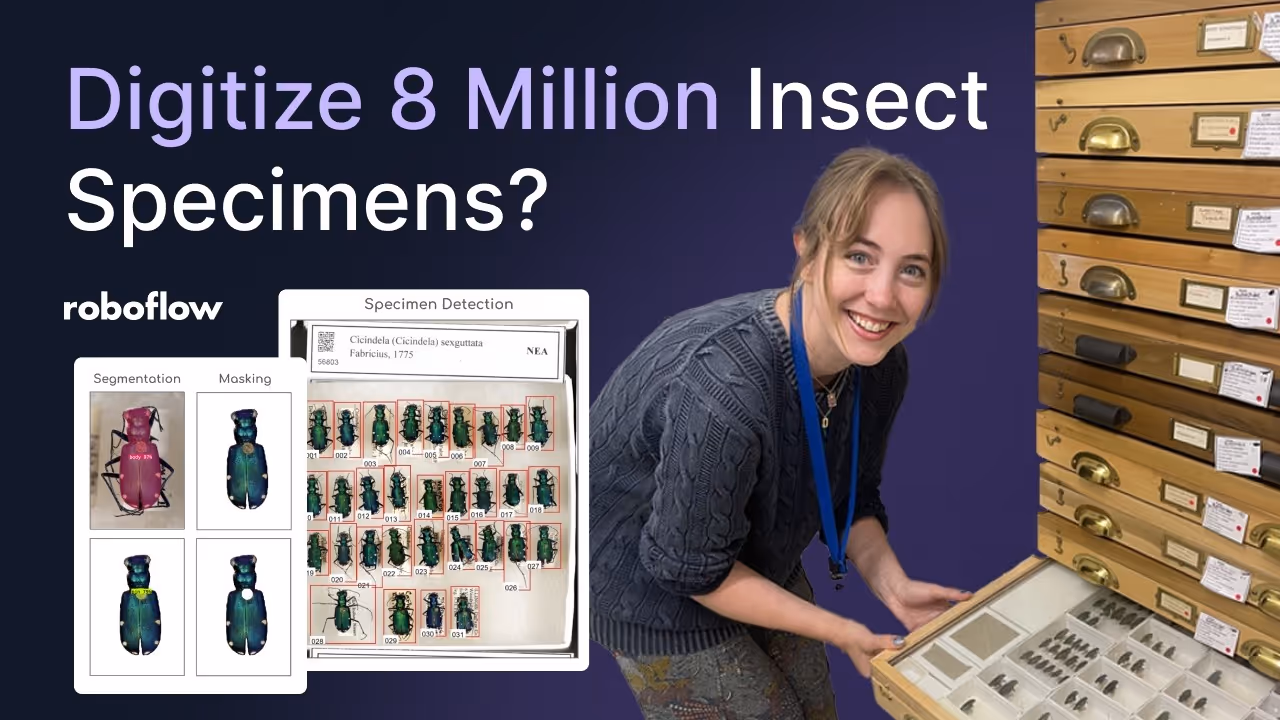 thumbnail of webinar discussing vision ai in insect identification 