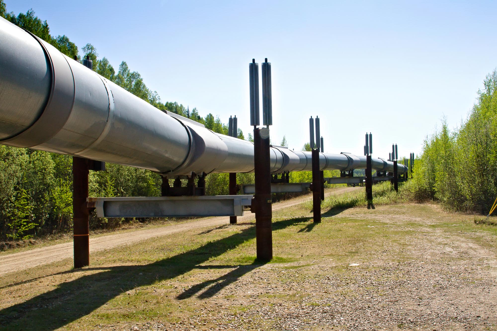 Glenloch Energy June Oil Market Forecast
