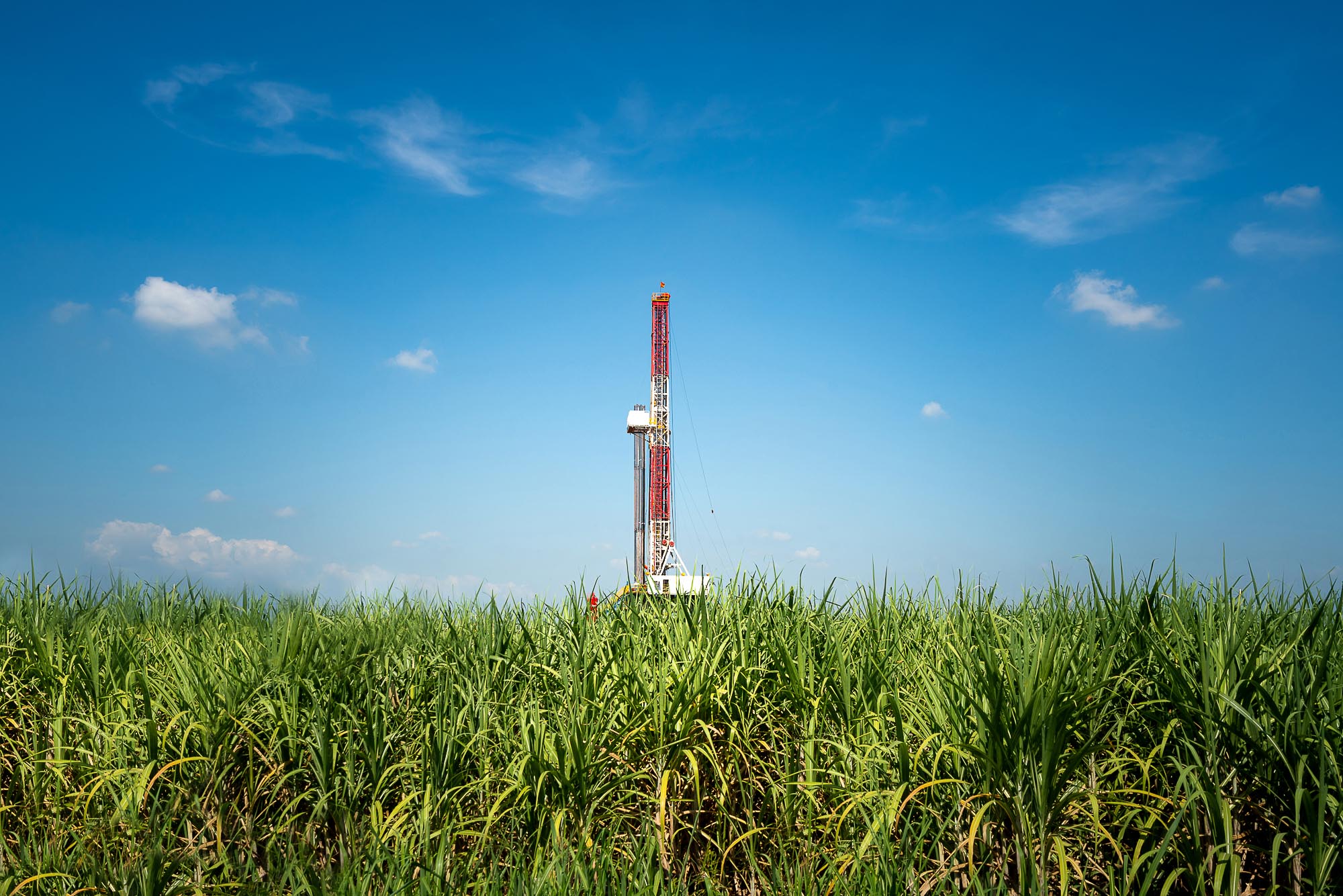 Glenloch Energy August Oil Market Forecast