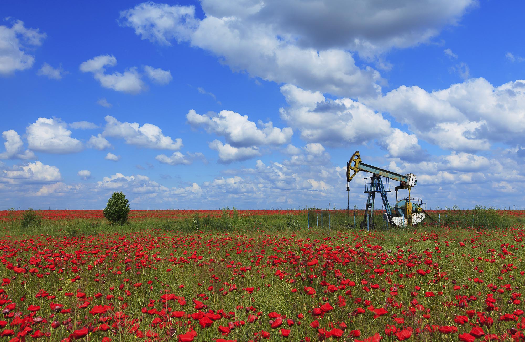 Glenloch Energy April Oil Market Forecast