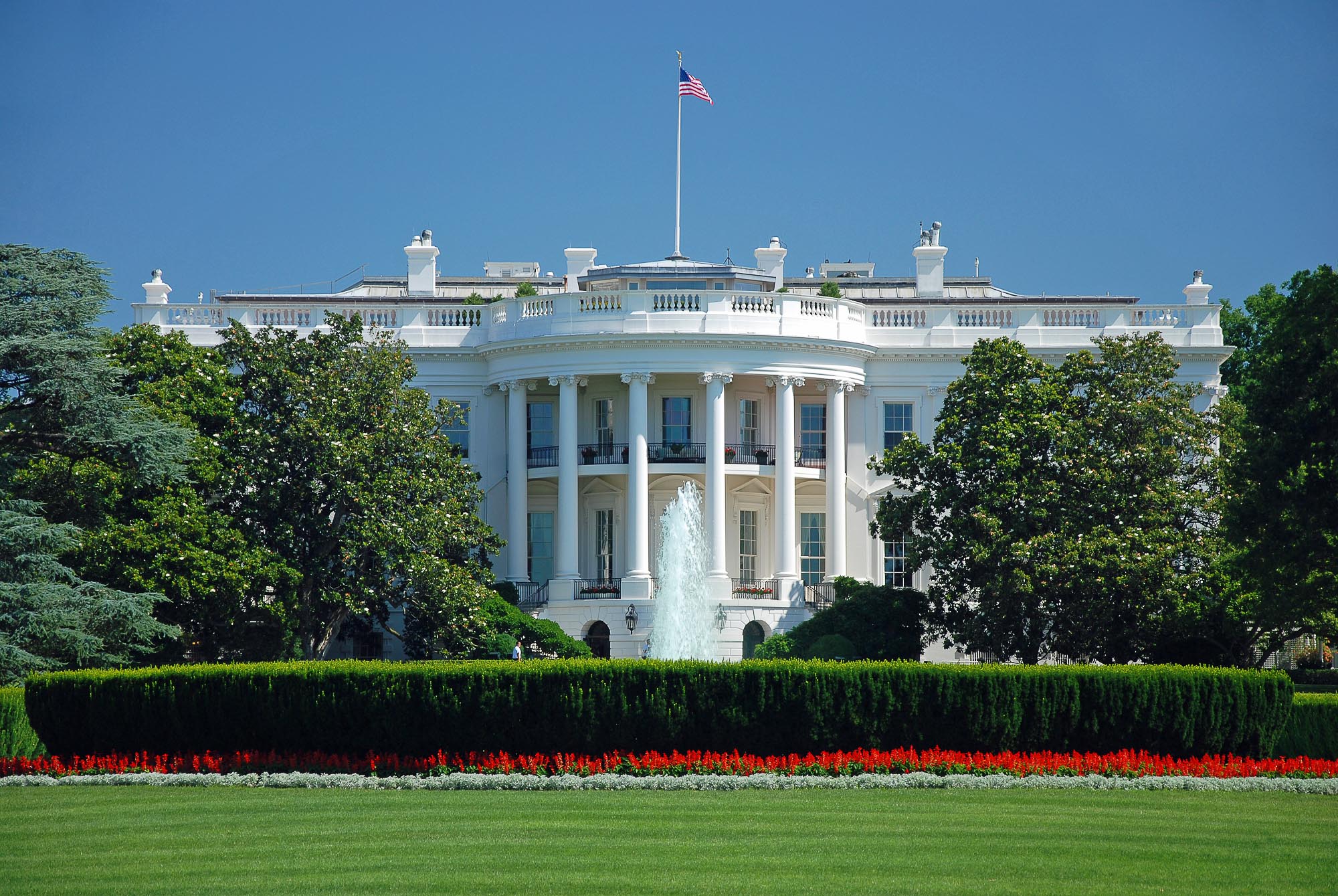 The Biden Ticket: What Does it Mean for US & International Oil & Gas?